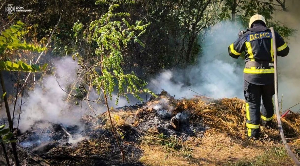 На Київщині під час гасіння пожежі працівники ДСНС врятували їжака