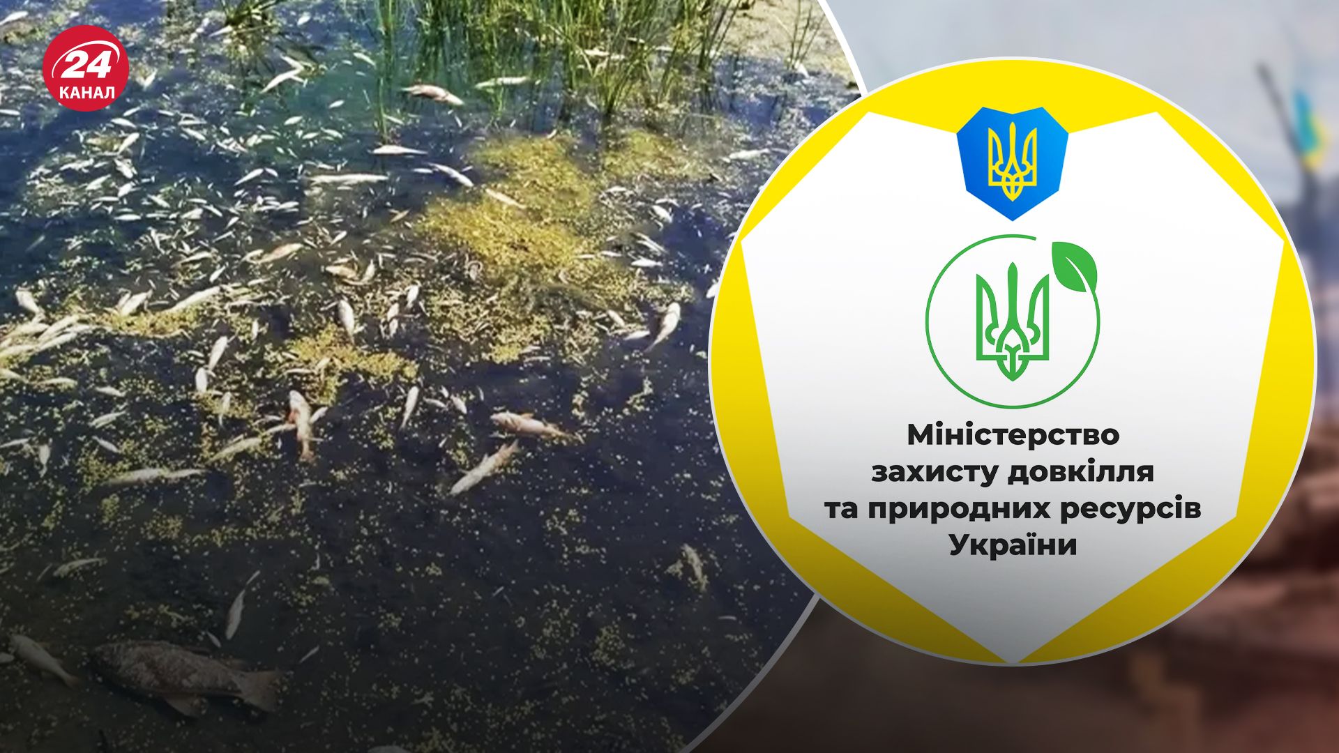 Какова ситуация с загрязнением реки Сейм Какова ситуация с загрязнением реки Сейм