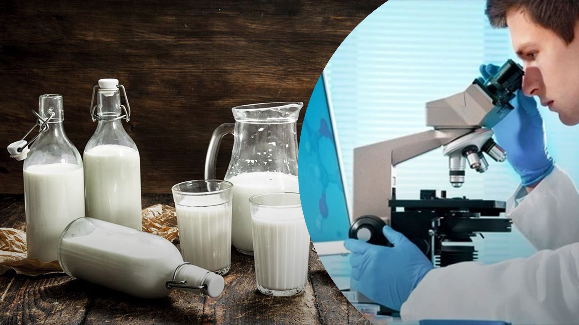 Для сырого молока будет новая система контроля Для сырого молока будет новая система контроля