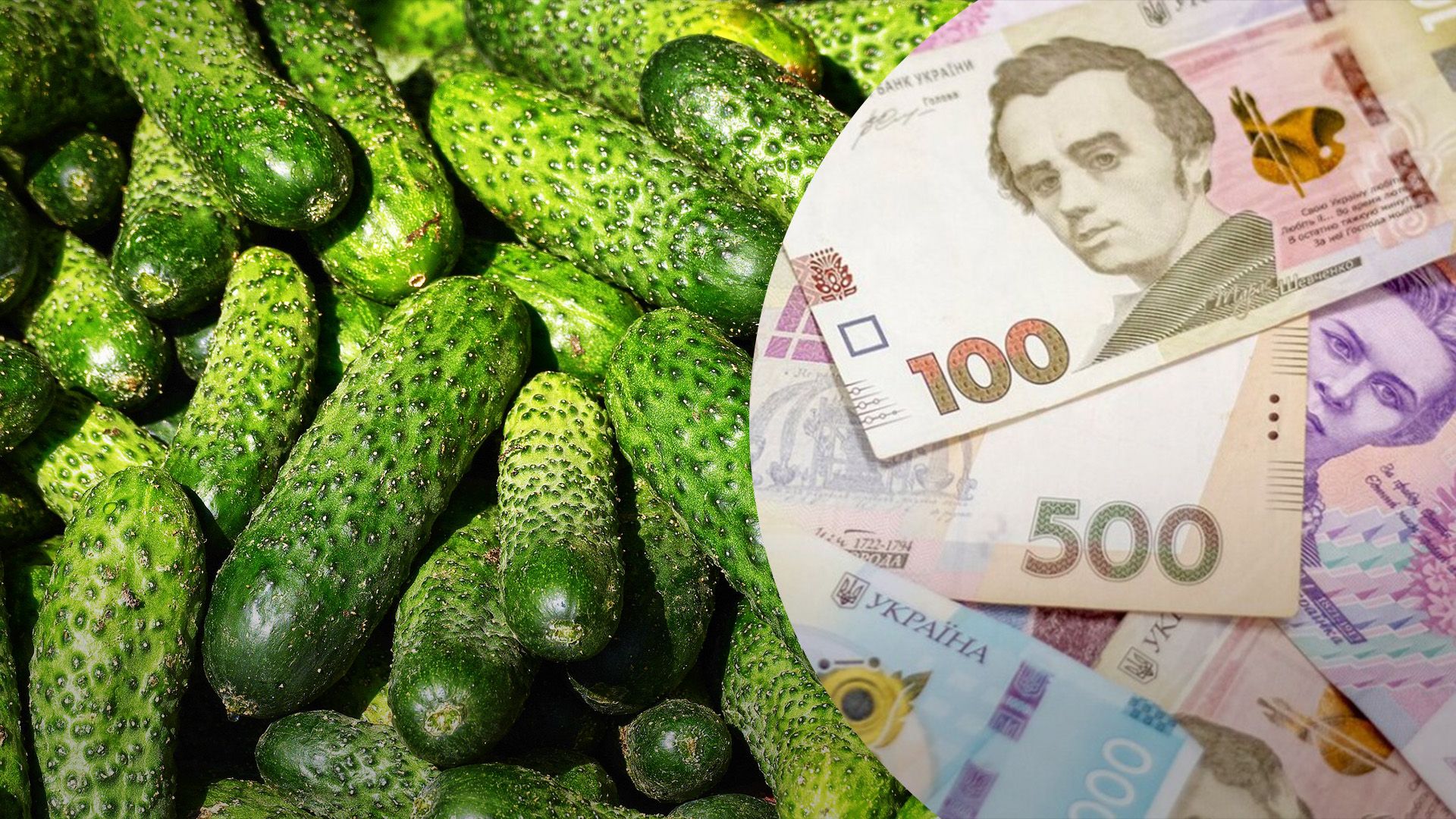 Ціни на огірки нестабільні Ціни на огірки нестабільні