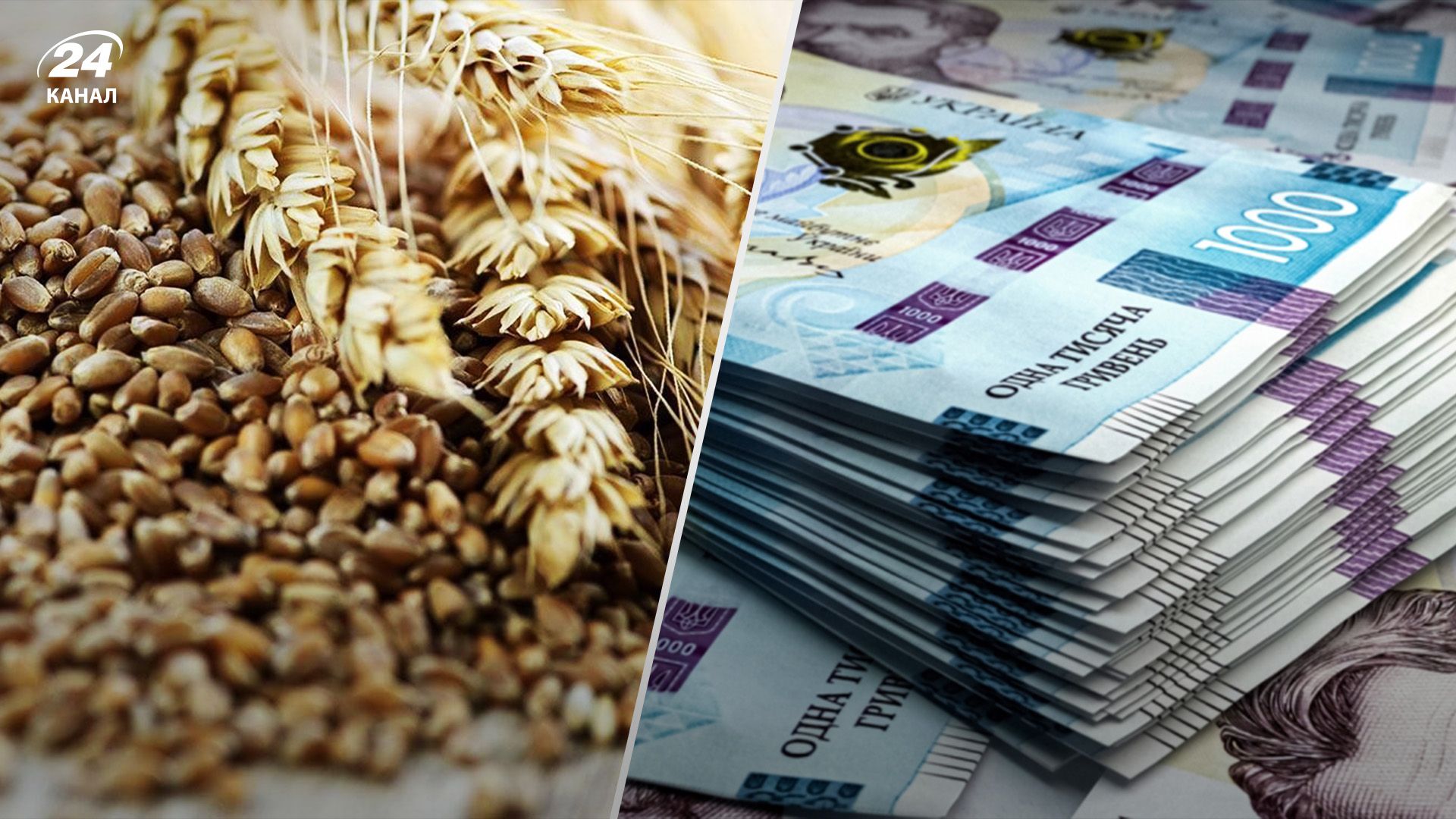 В Україні ростуть ціни на експортну пшеницю В Україні ростуть ціни на експортну пшеницю