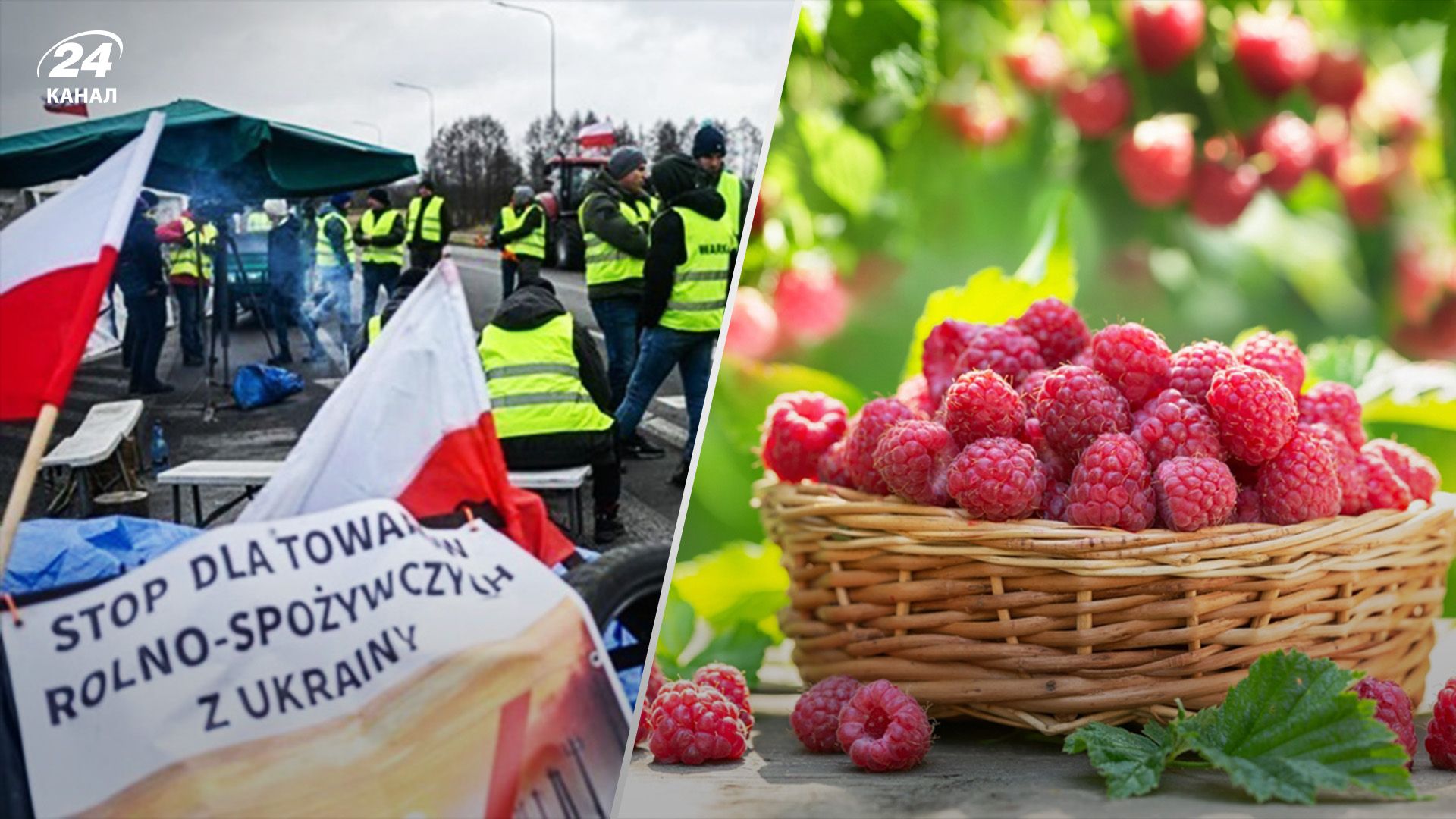 Поляки не пропустили 230 тонн української малини Поляки не пропустили 230 тонн української малини