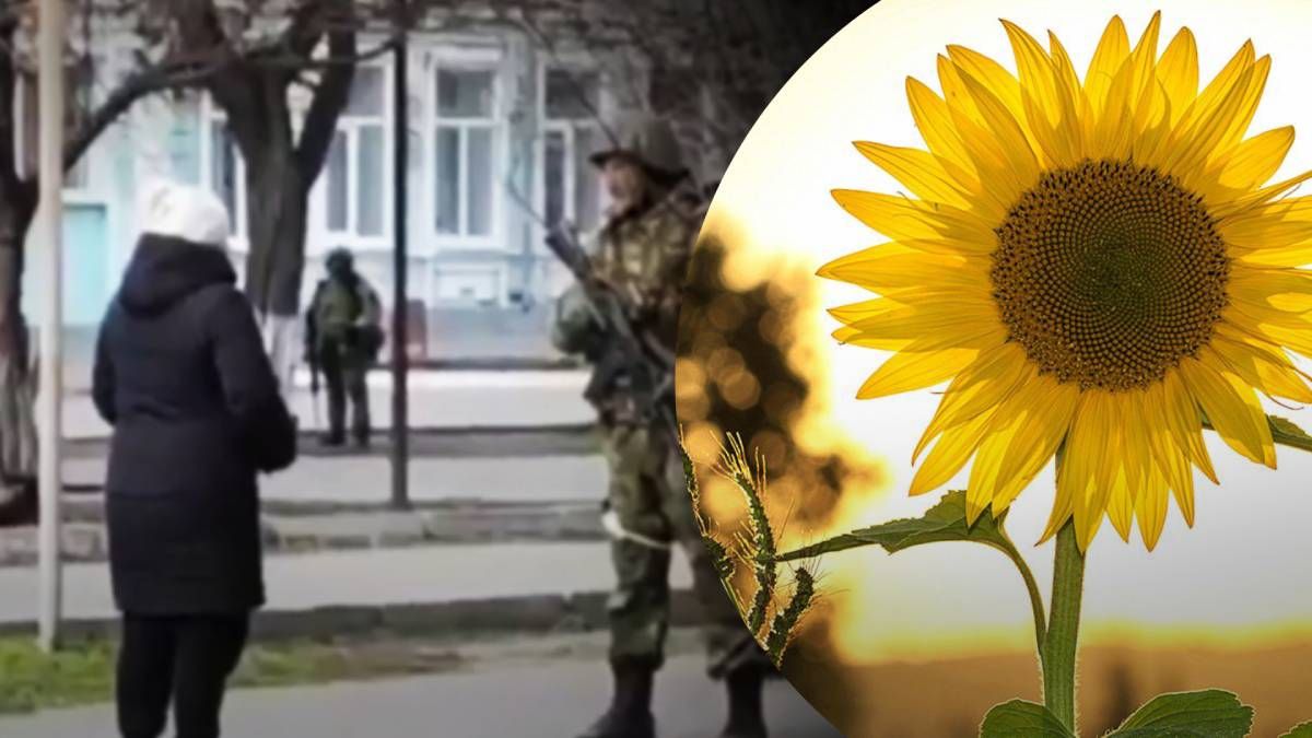 Что известно о Светлане Панковой, которая советовала захватчикам класть в карманы семечки Что известно о Светлане Панковой, которая советовала захватчикам класть в карманы семечки