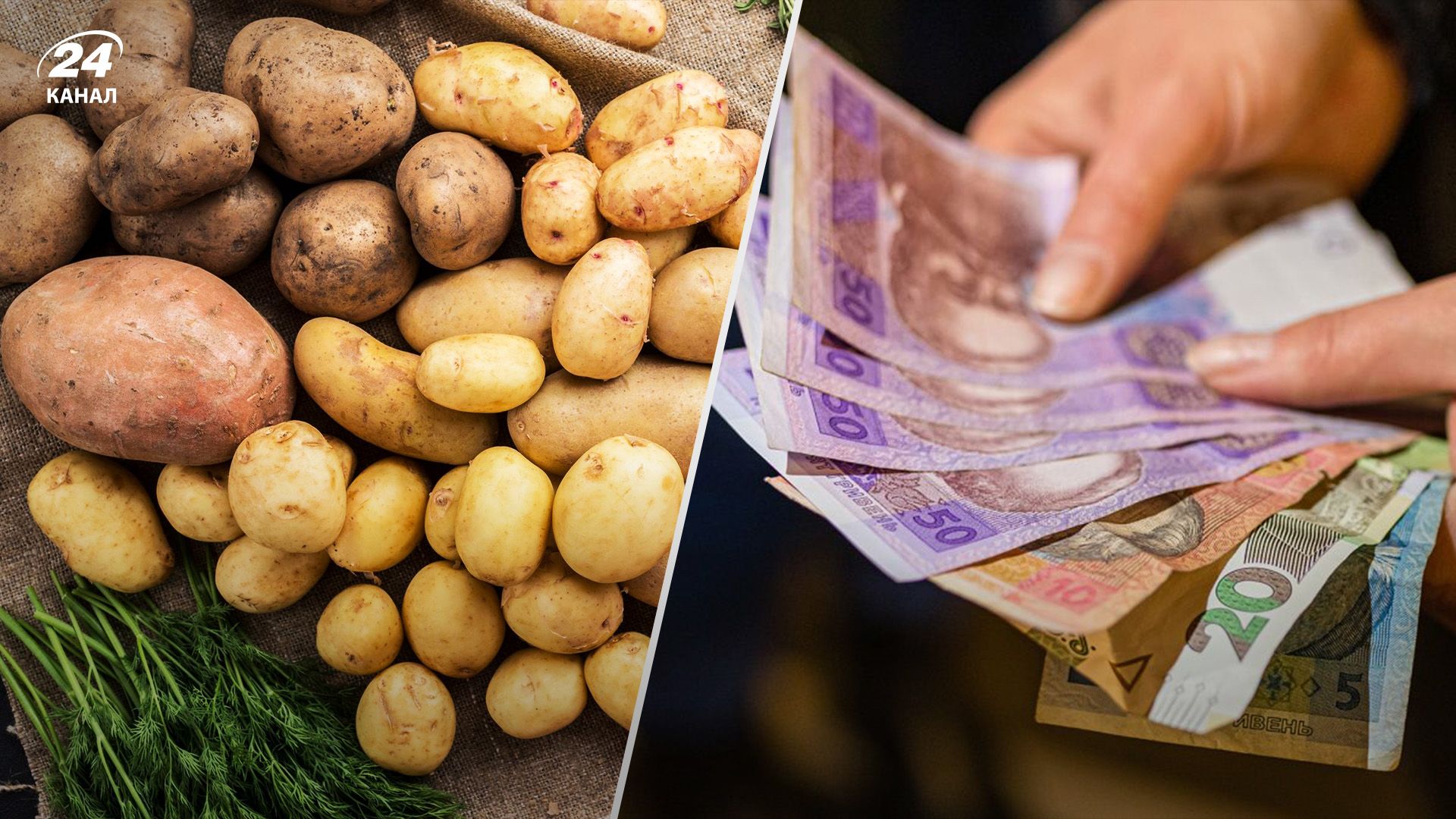 Картопля буде щомісяця дорожчати аж до весни Картопля буде щомісяця дорожчати аж до весни