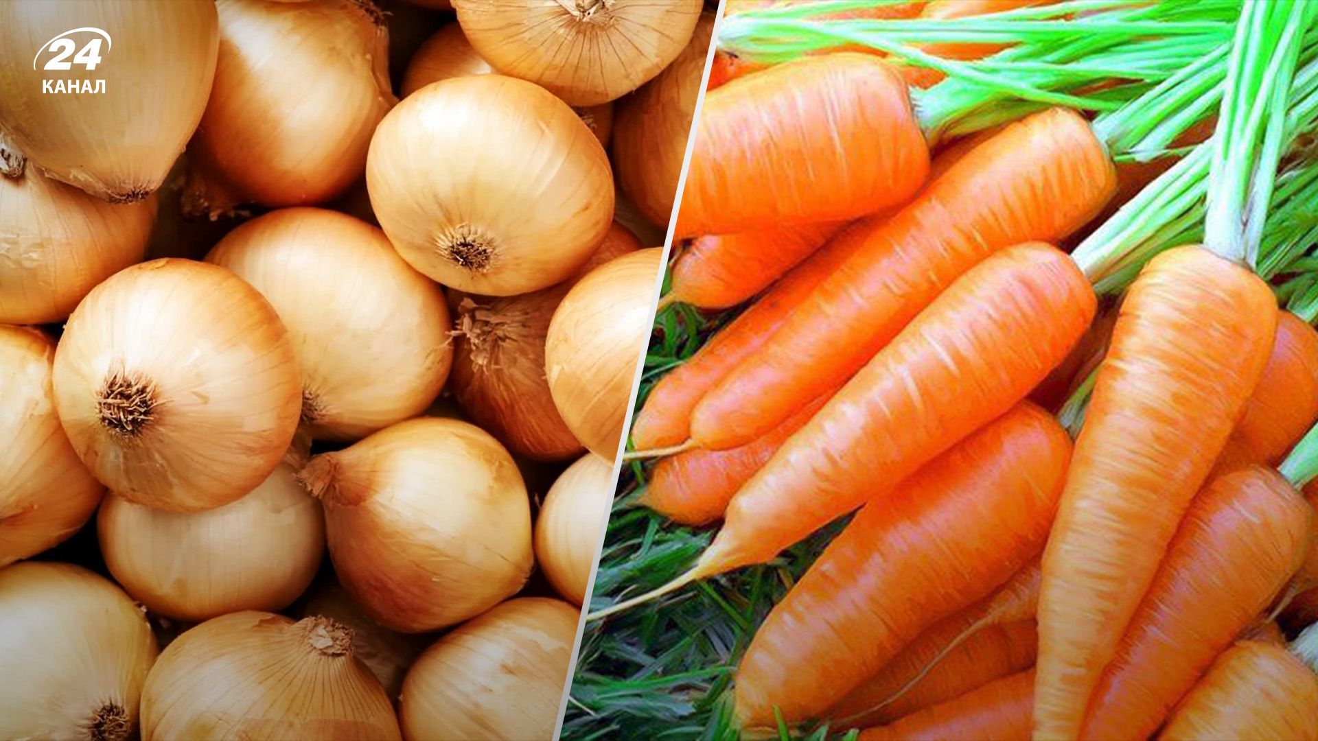 Лук и морковь дорожают Лук и морковь дорожают