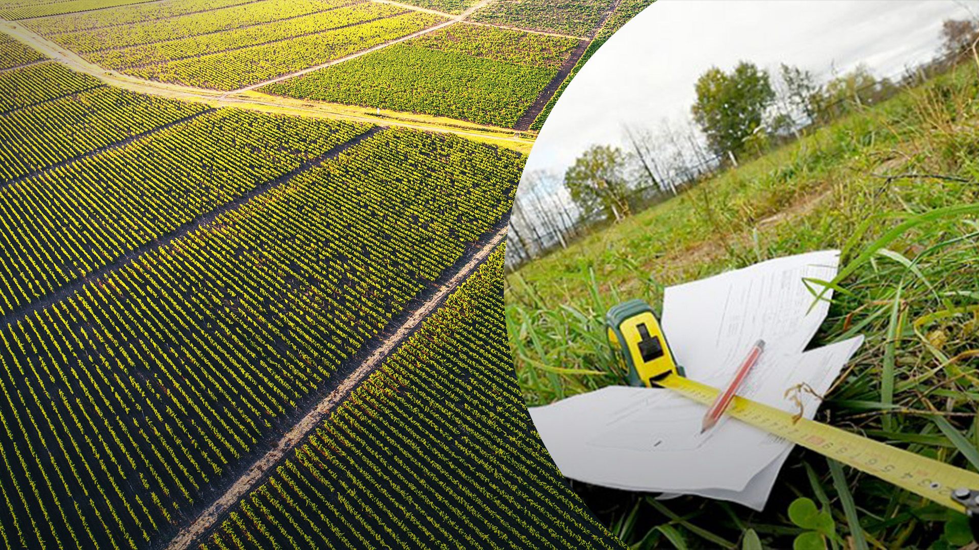 Особливості земельного сервітуту в Україні Особливості земельного сервітуту в Україні