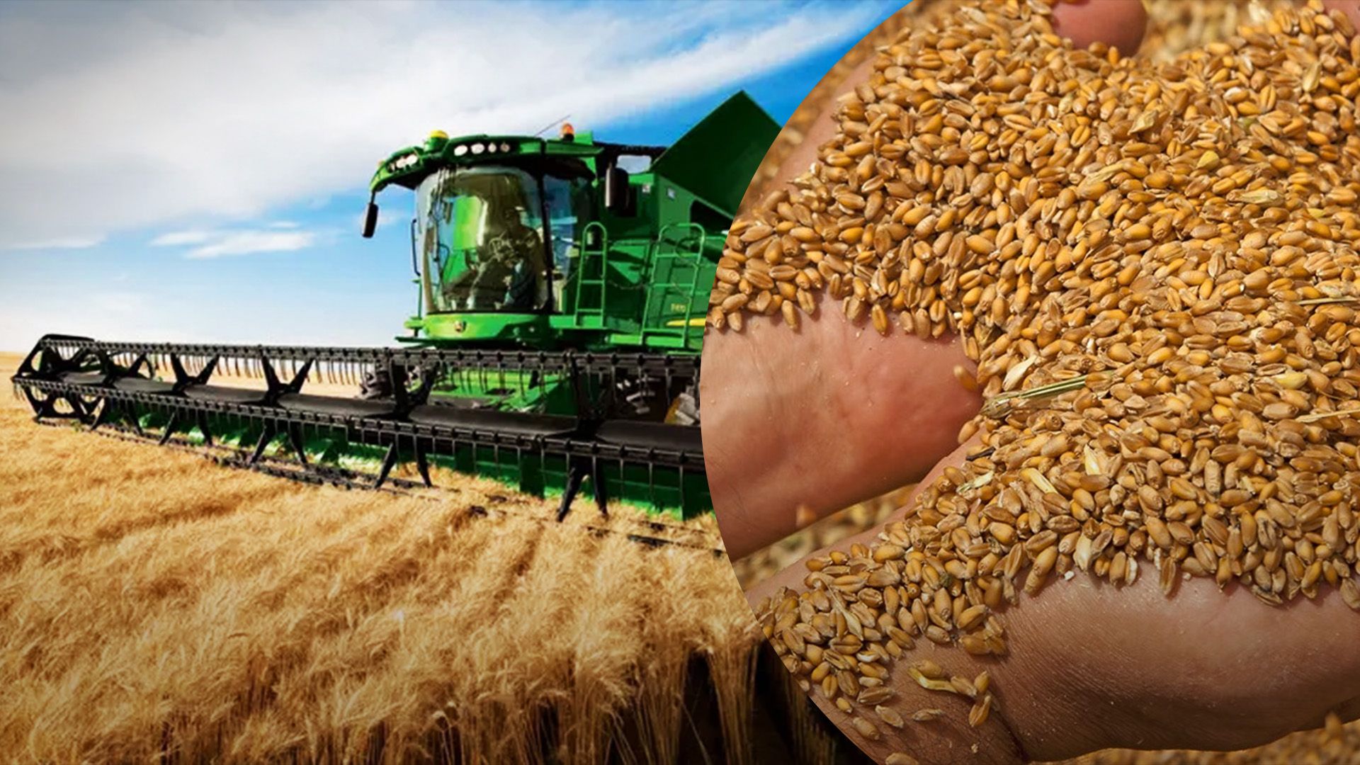 В Украине продолжается жатва В Украине продолжается жатва