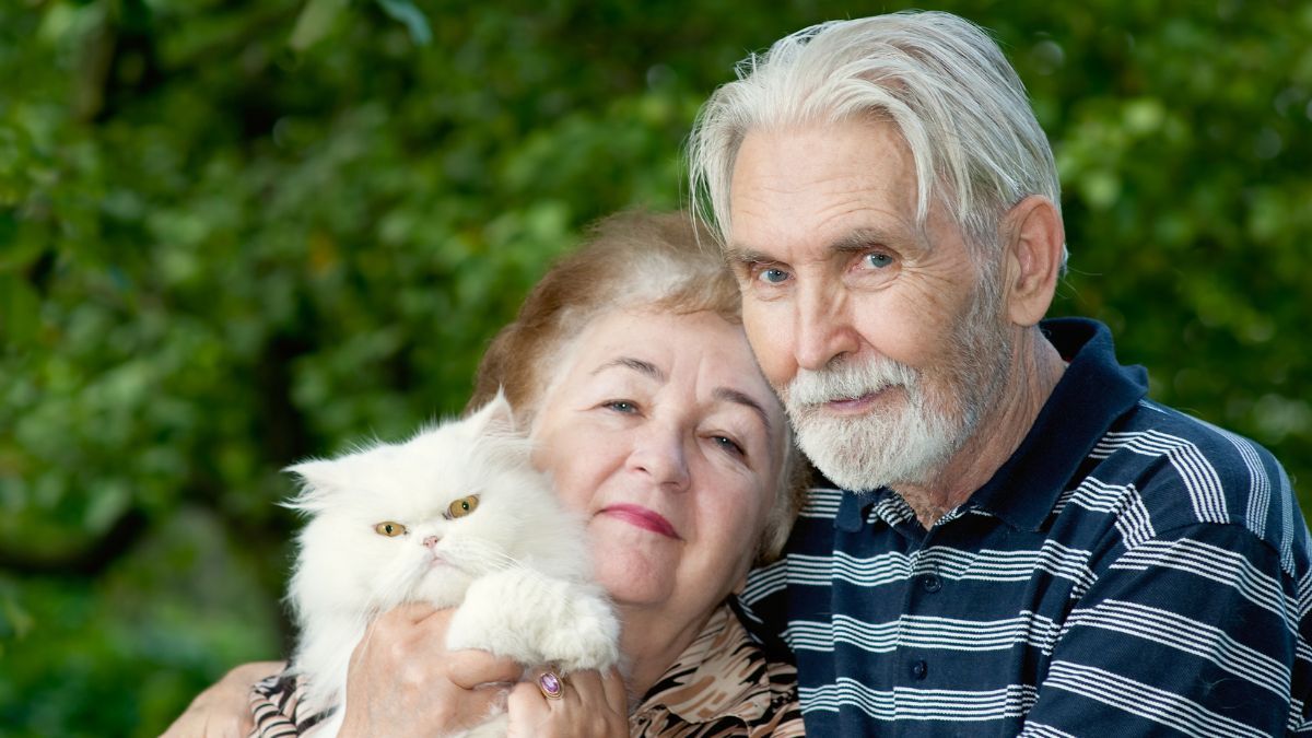 Пенсійна реформа в Україні Пенсійна реформа в Україні