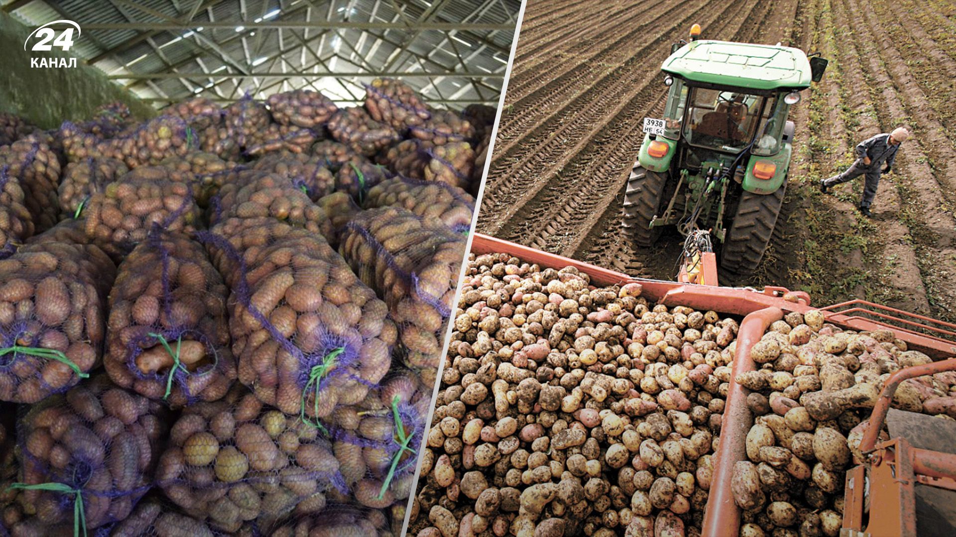 Україна імпортує картоплю у розпал сезону Україна імпортує картоплю у розпал сезону
