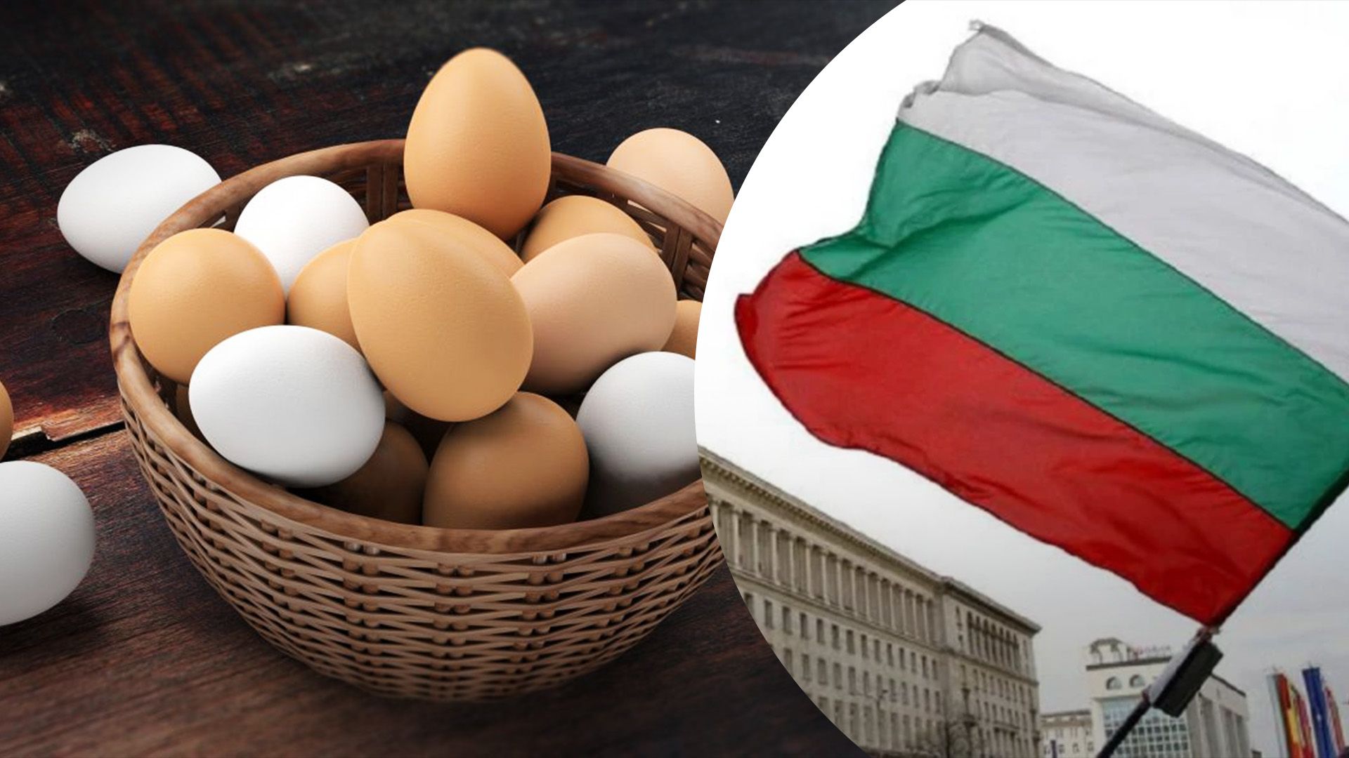 Болгари попросили ЄС не ввозити яйця з України Болгари попросили ЄС не ввозити яйця з України