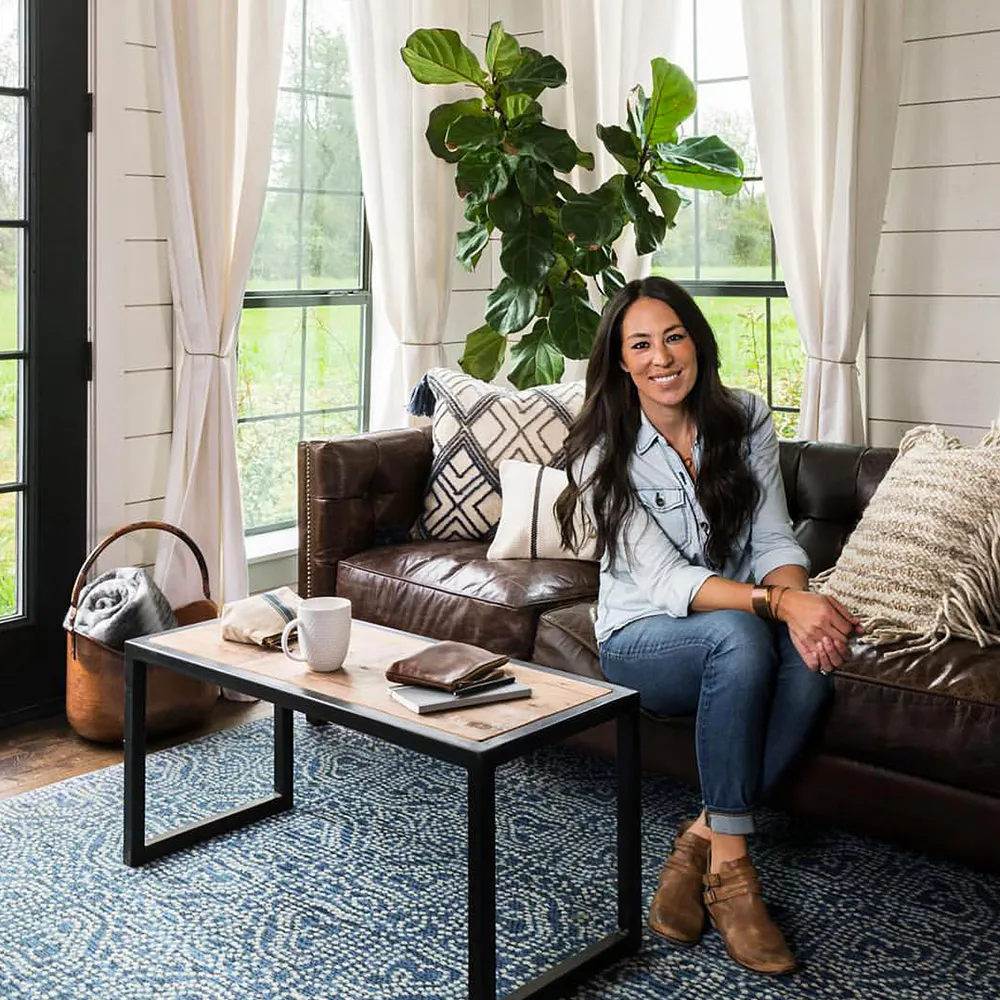 фикус фикус