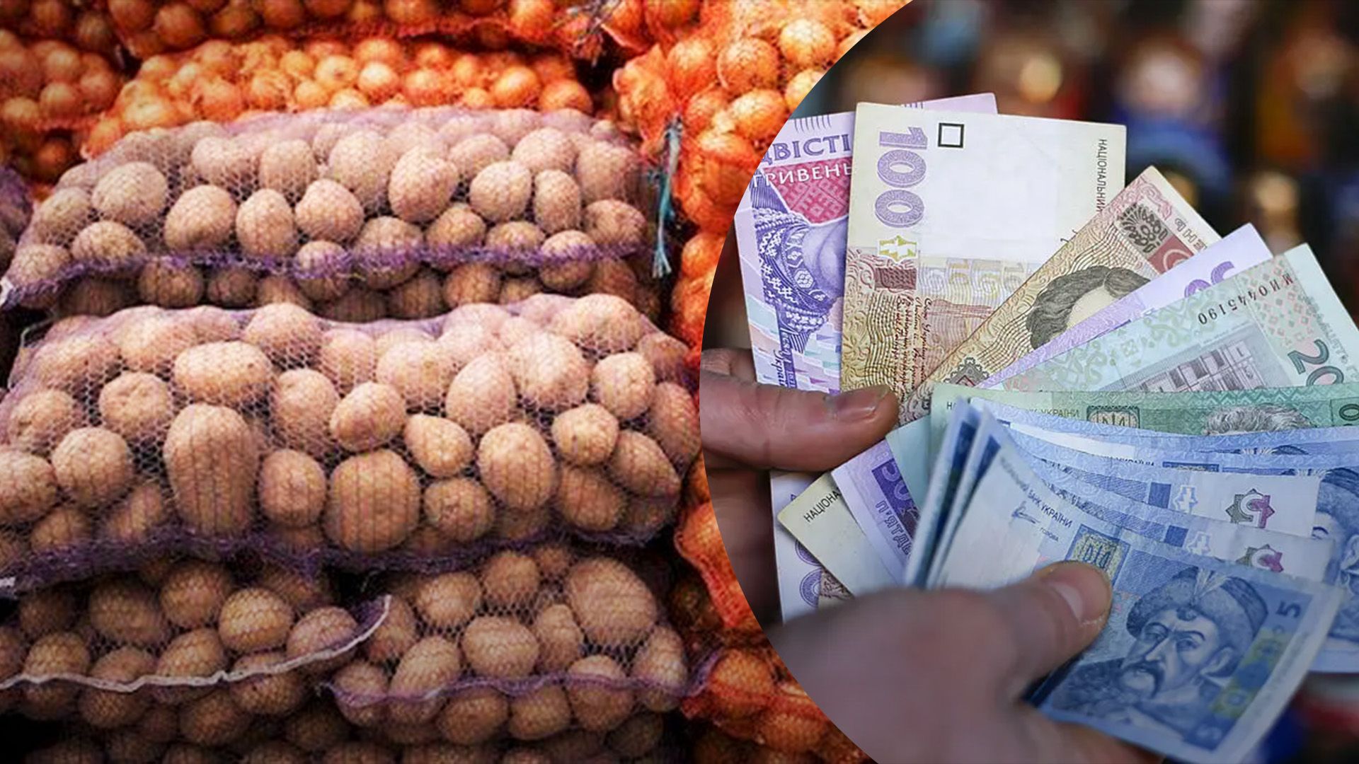 Картофель рекордно вырос в цене Картофель рекордно вырос в цене