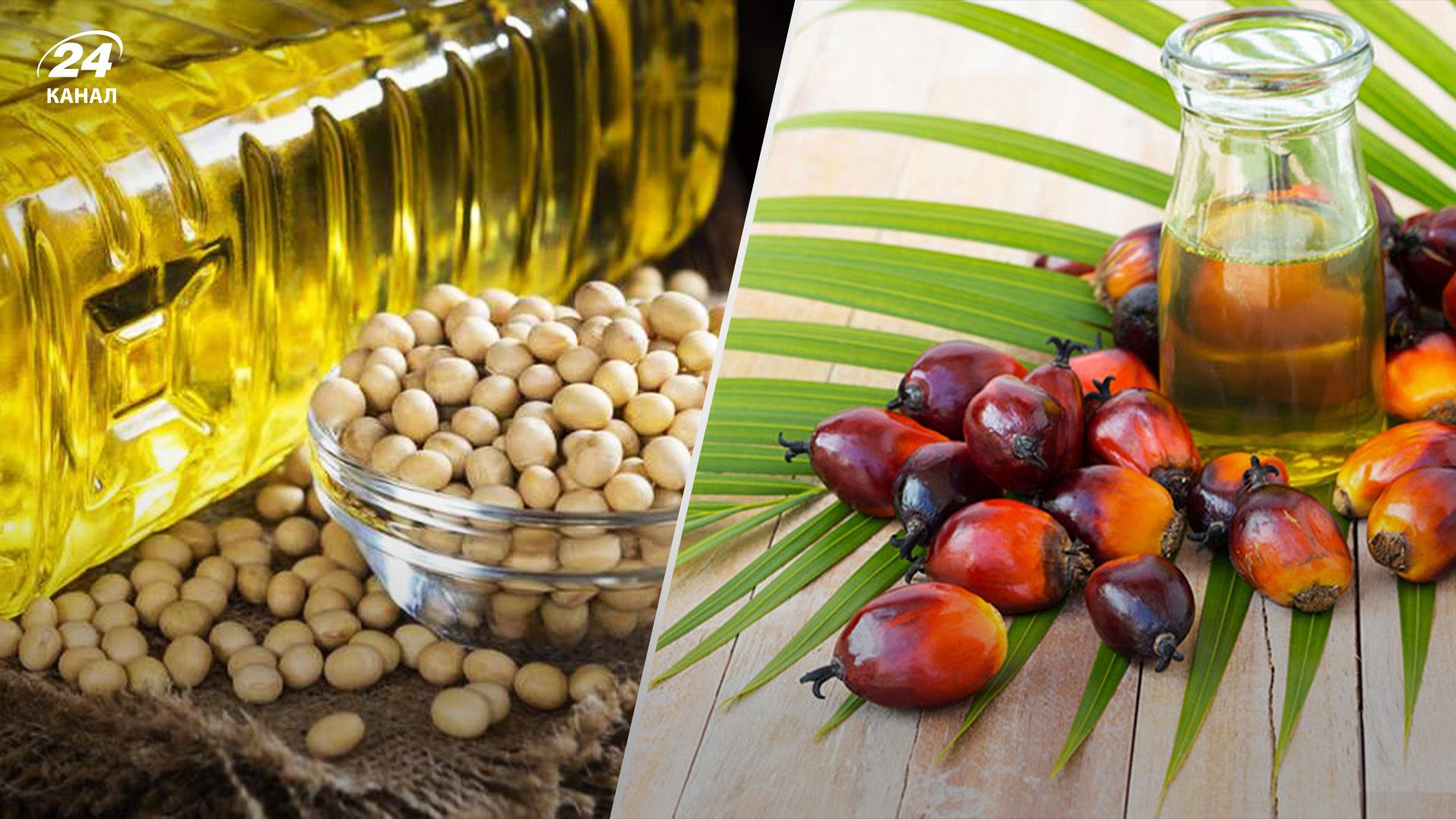 Соєва олія відтепер дешевша за пальмову Соєва олія відтепер дешевша за пальмову