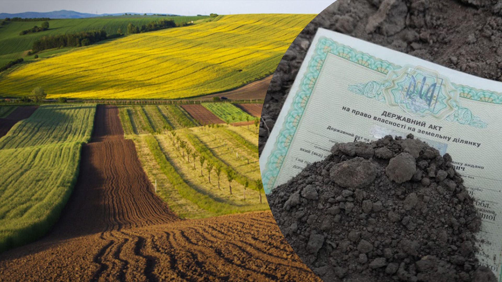 Право власності на пай треба оформити до 1 січня 2025 року Право власності на пай треба оформити до 1 січня 2025 року