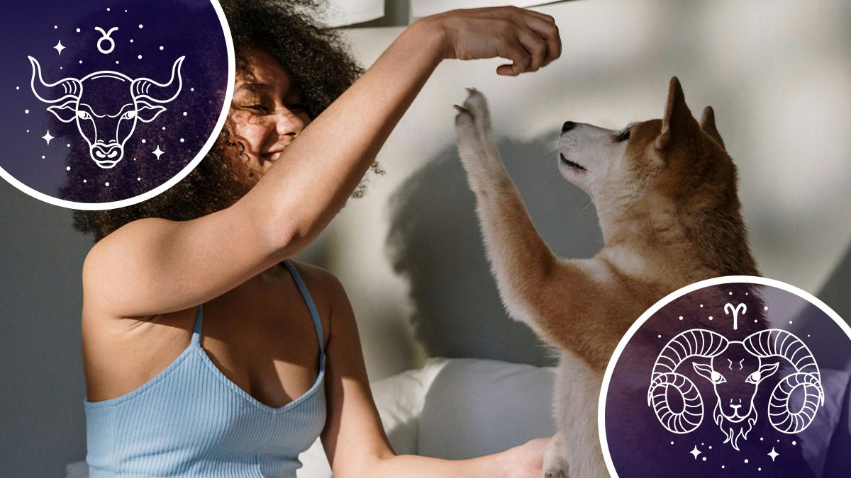 У кого будуть щасливі останні вересневі вихідні - гороскоп У кого будуть щасливі останні вересневі вихідні - гороскоп