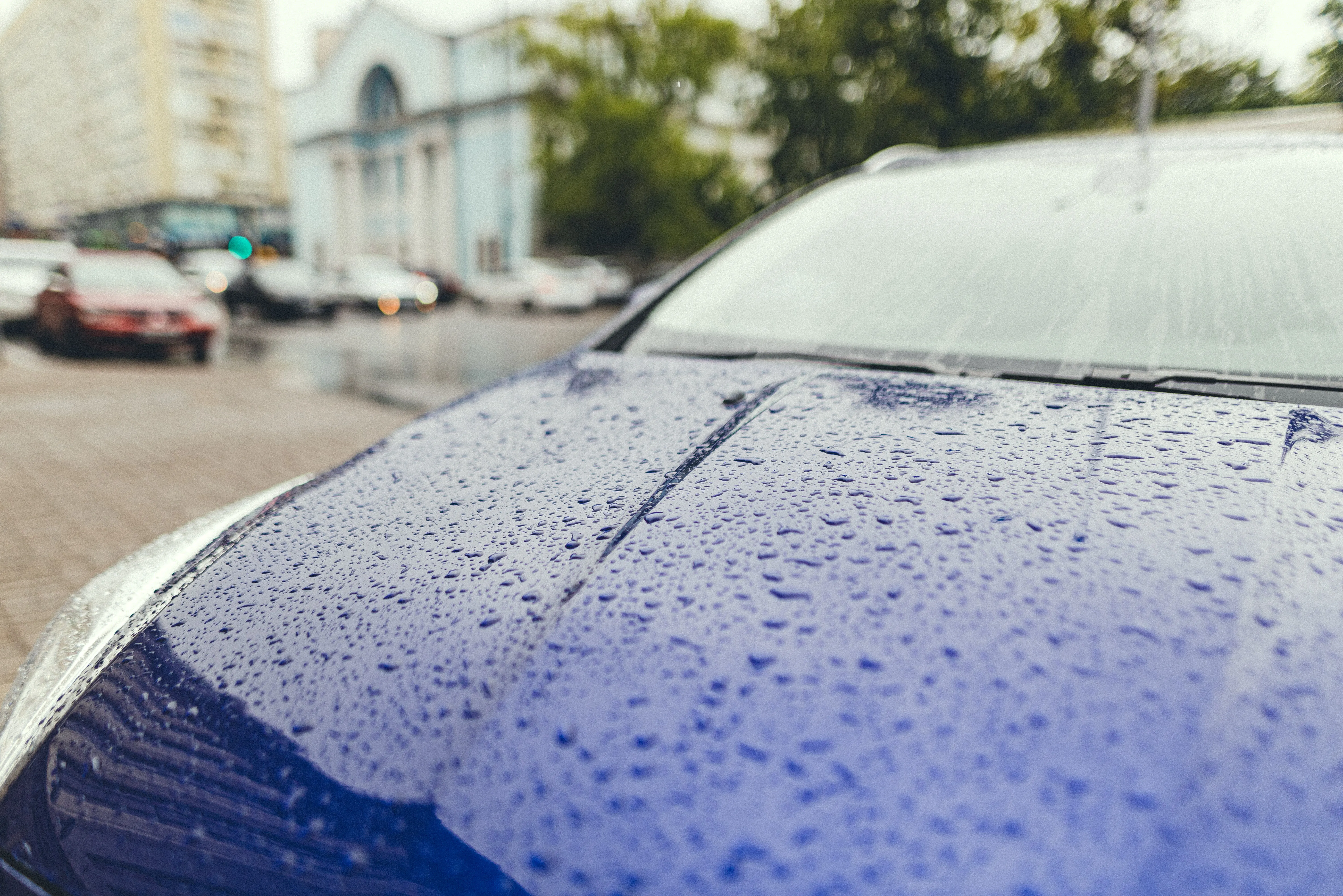 Дожди в Украине Дожди в Украине