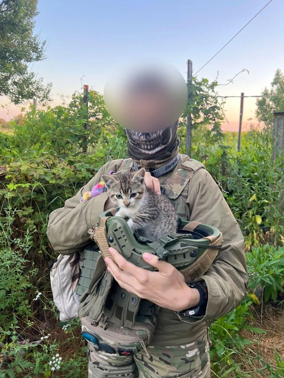 Відьма Відьма