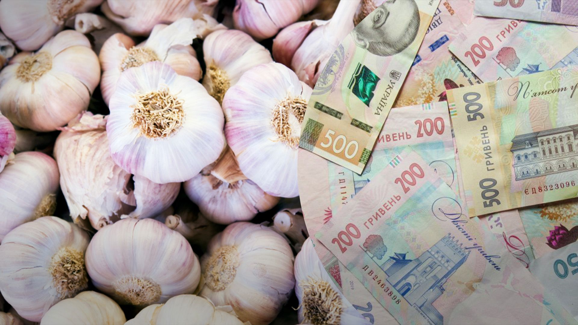 Часник подорожчав удвічі за рік Часник подорожчав удвічі за рік