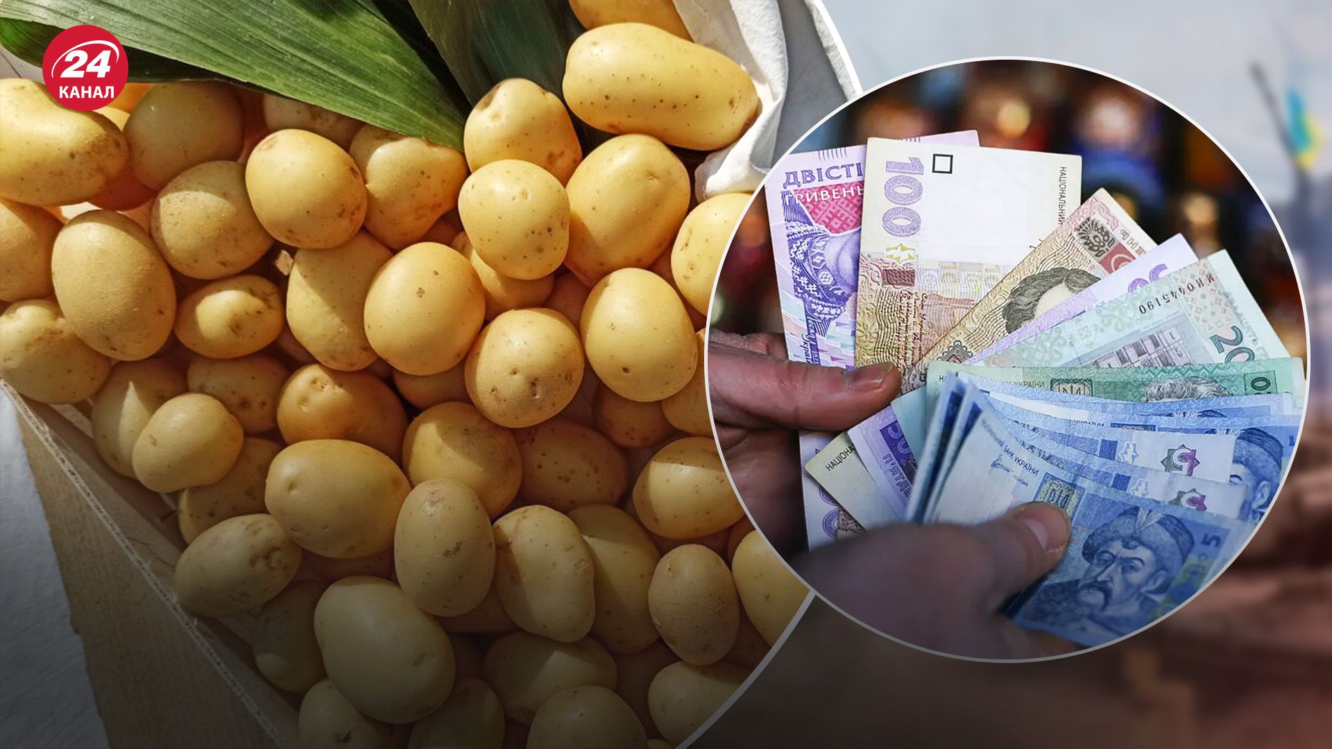 Чому дорожчає картопля Чому дорожчає картопля
