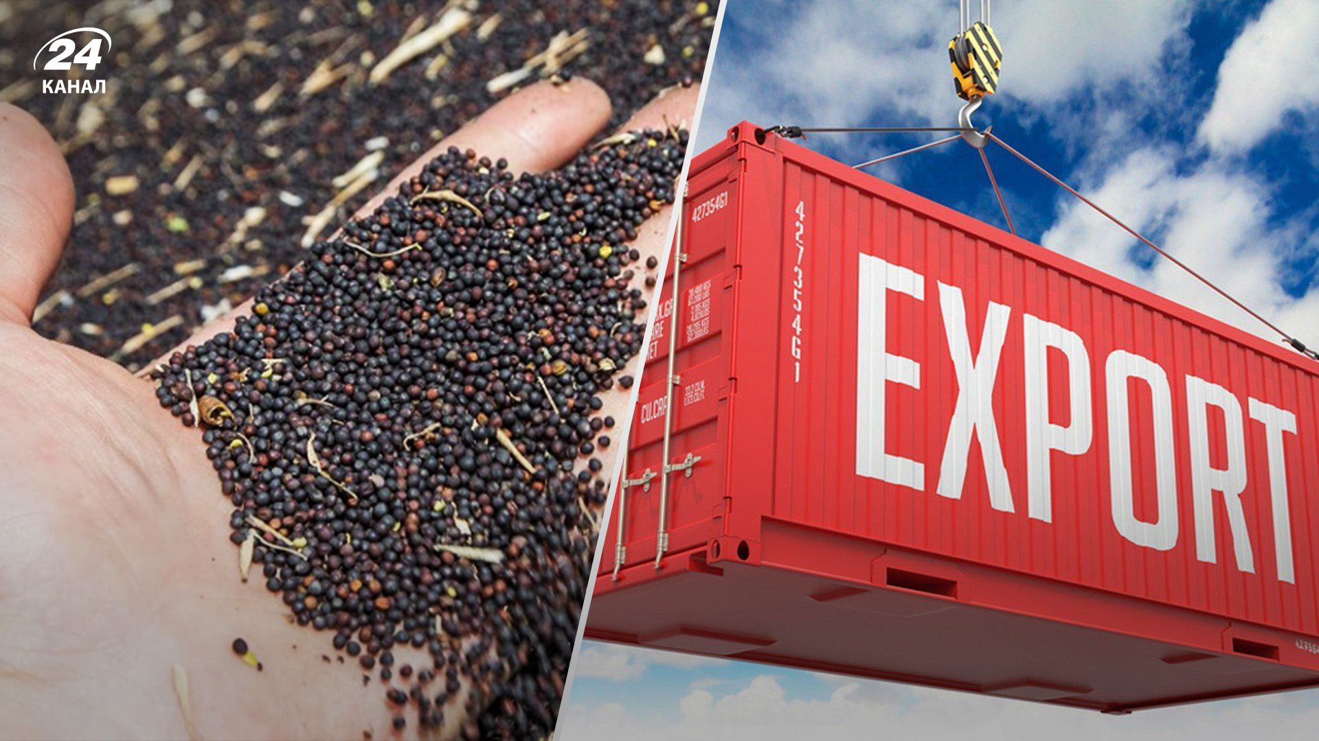 Експорт ріпаку знизився у вересні Експорт ріпаку знизився у вересні