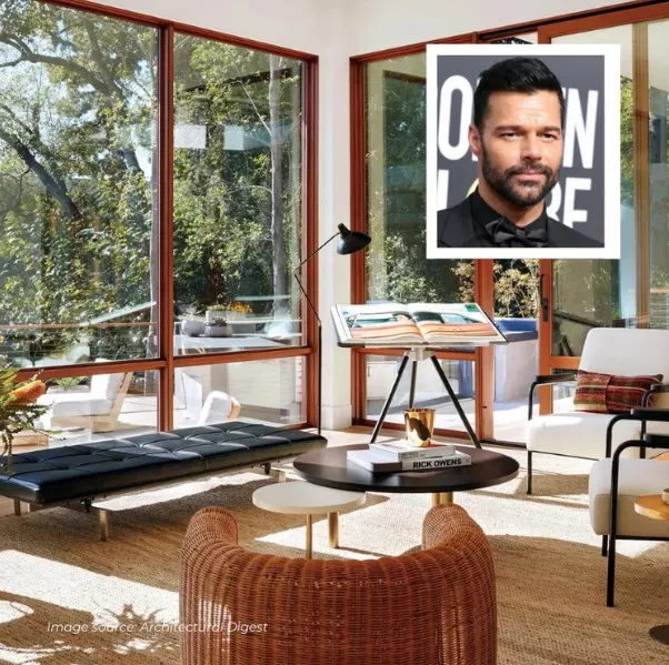 рики мартин рики мартин