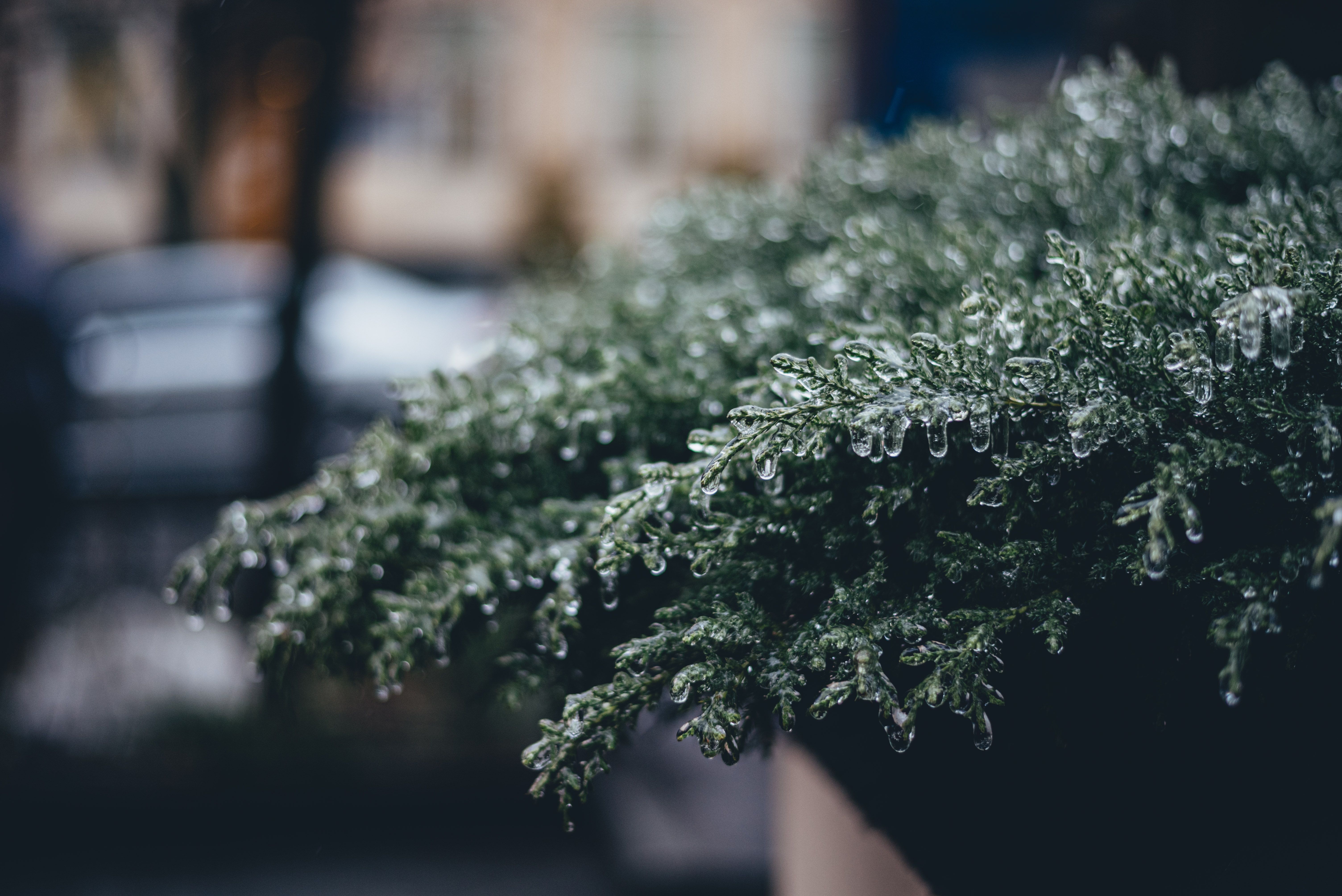 Погода в Украине Погода в Украине