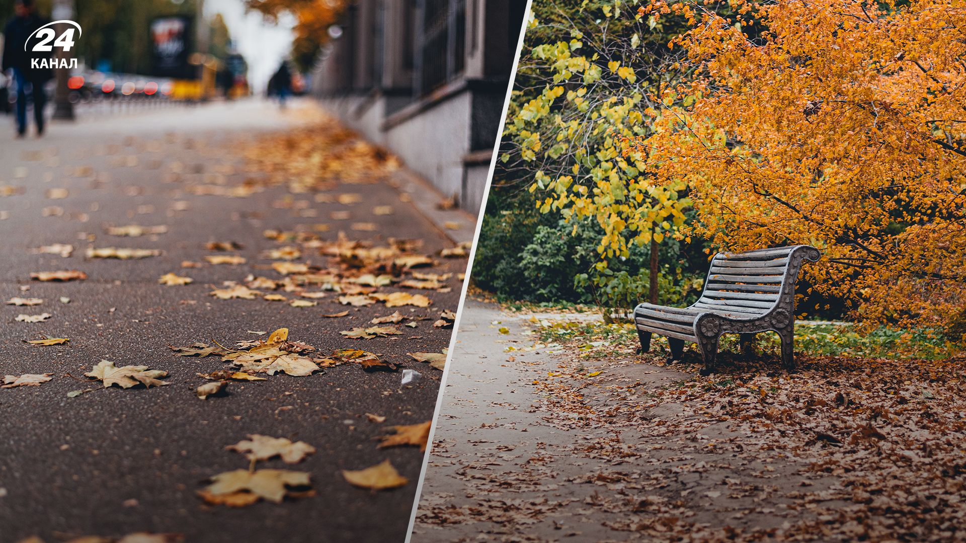 Холода уже придут в Украину Холода уже придут в Украину