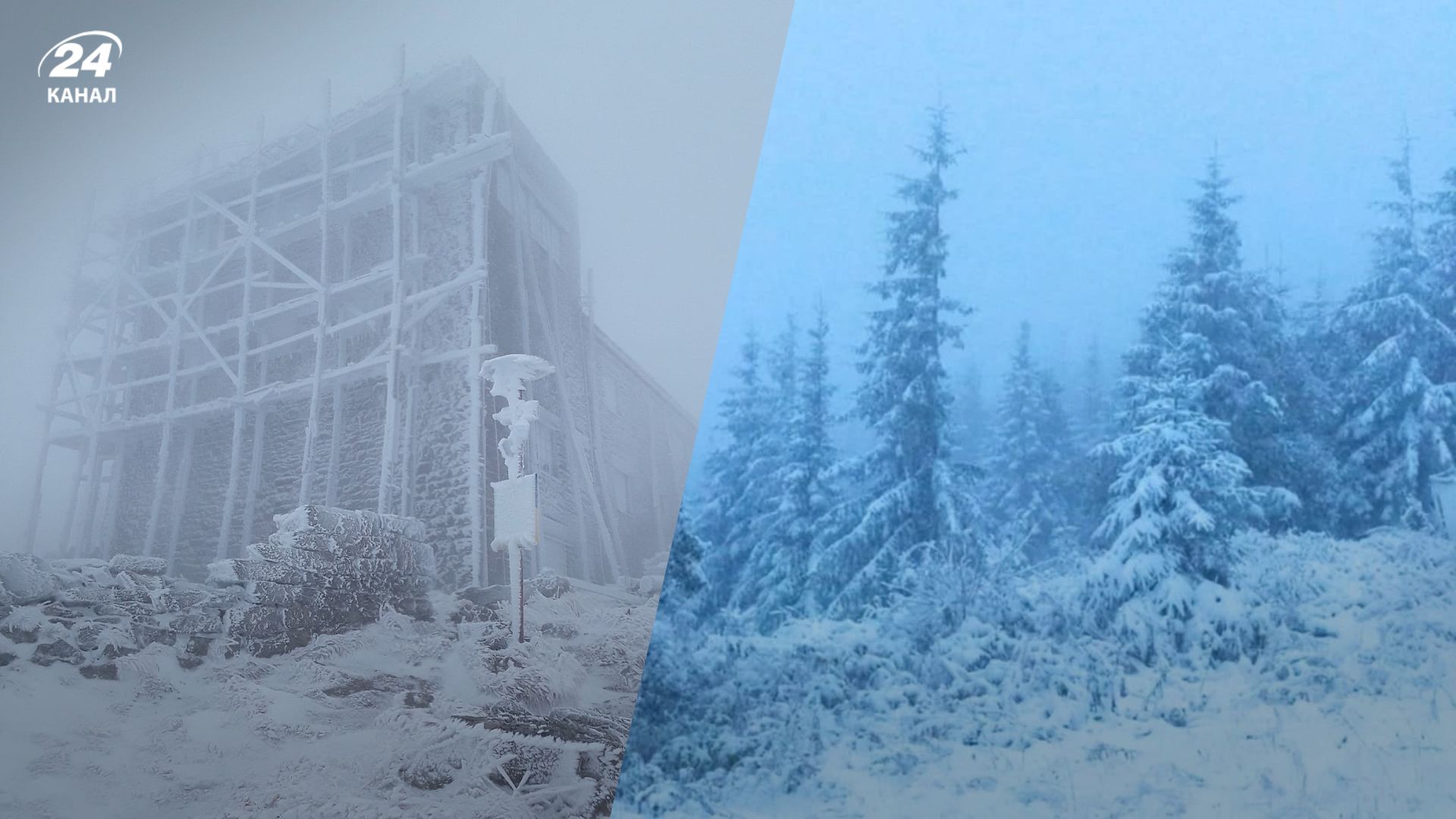 Сніг в Україні Сніг в Україні