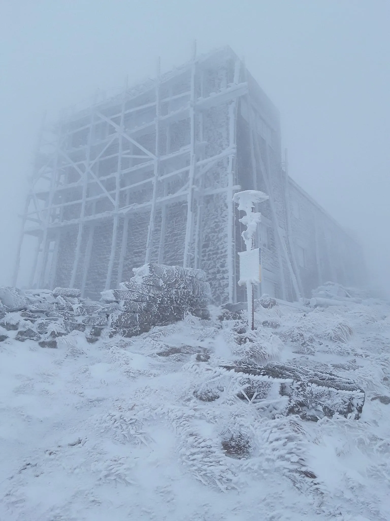 снег в Карпатах снег в Карпатах