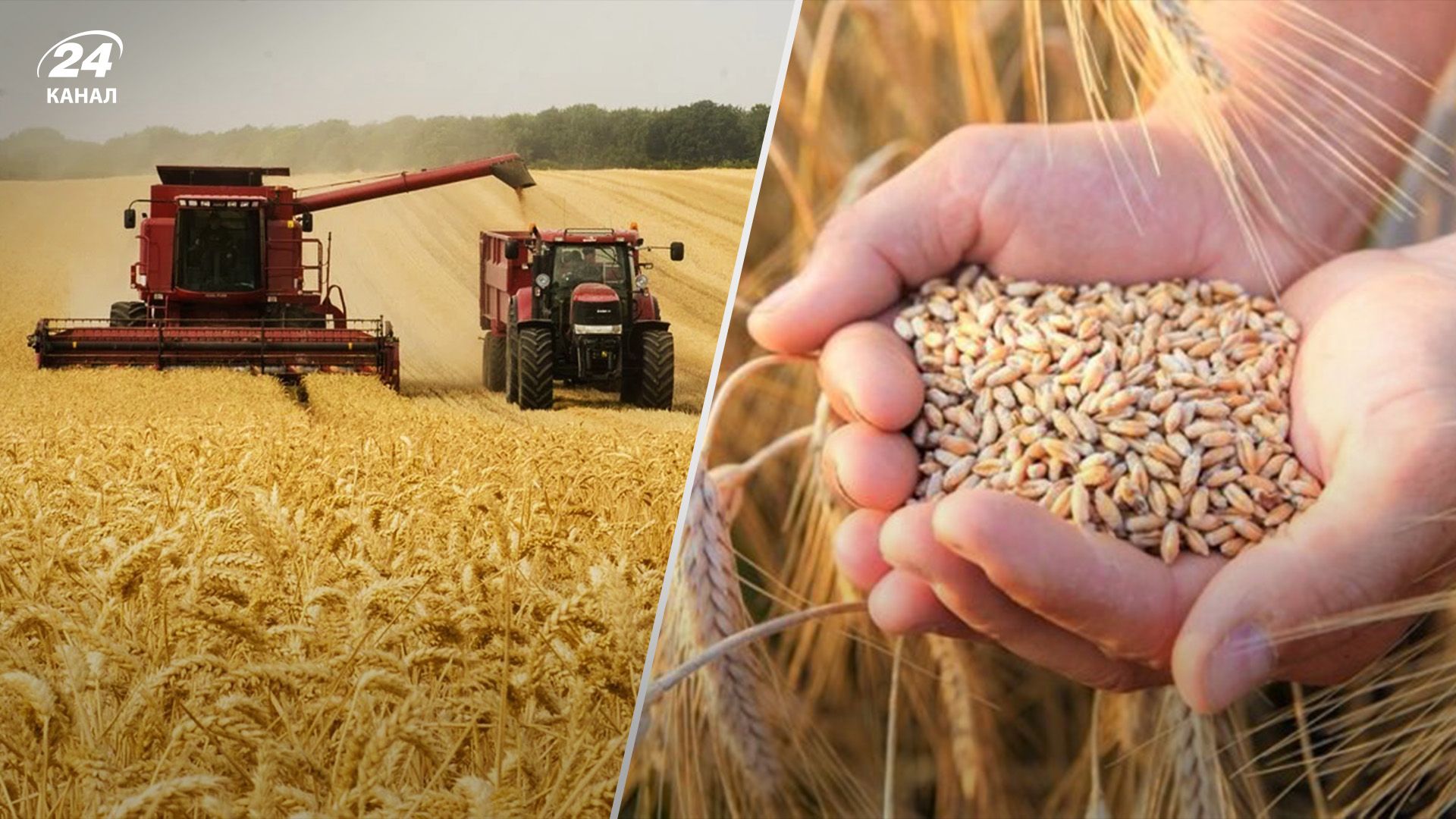 Українські фермери продовжують вдалі жнива Українські фермери продовжують вдалі жнива