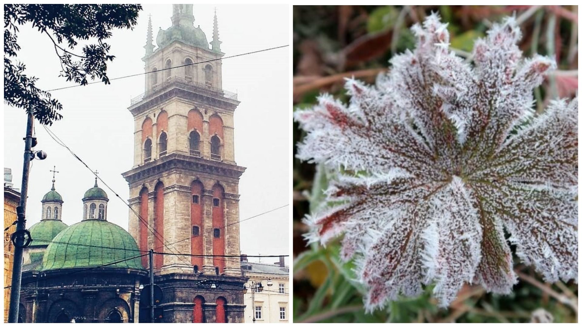 Сильный заморозок во Львове и области ожидают уже на этой неделе: предупреждение синоптиков - 24 Канал Сильный заморозок во Львове и области ожидают уже на этой неделе: предупреждение синоптиков - 24 Канал
