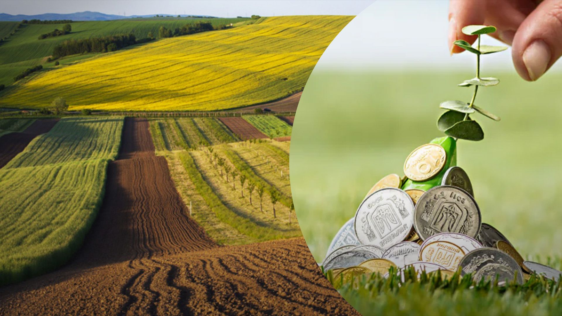 Який розмір податку за землю у 2024 році Який розмір податку за землю у 2024 році