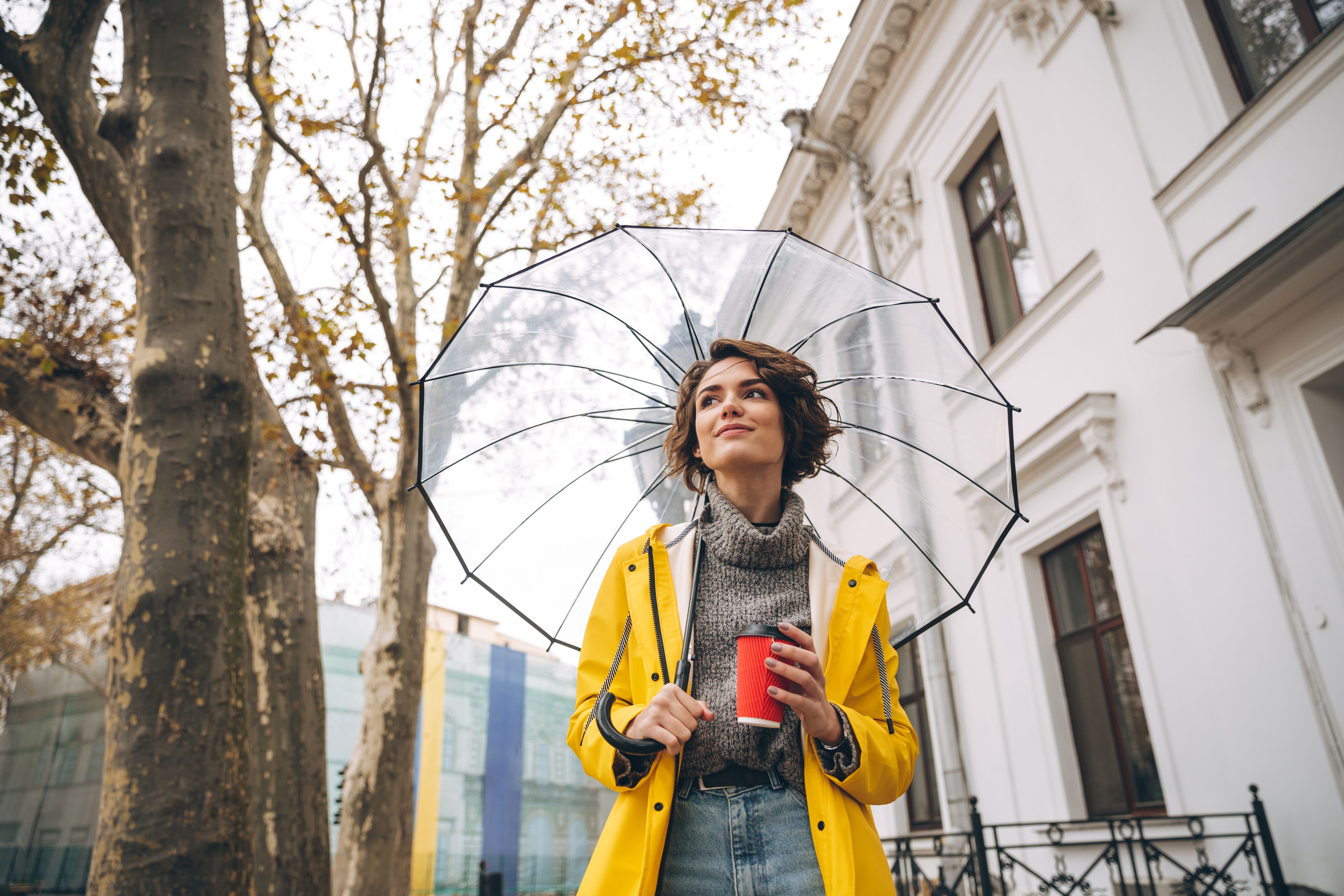 Чи має слово "зонтик" український відповідник Чи має слово "зонтик" український відповідник