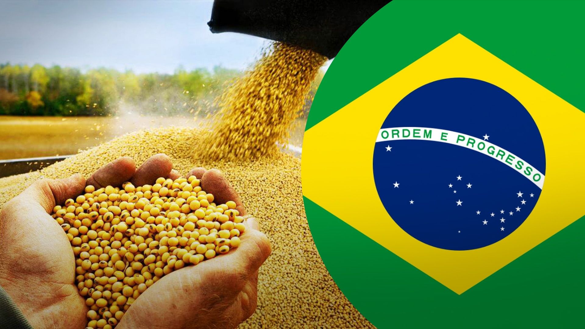 Дощі у Бразилії стабілізують ціну на сою Дощі у Бразилії стабілізують ціну на сою