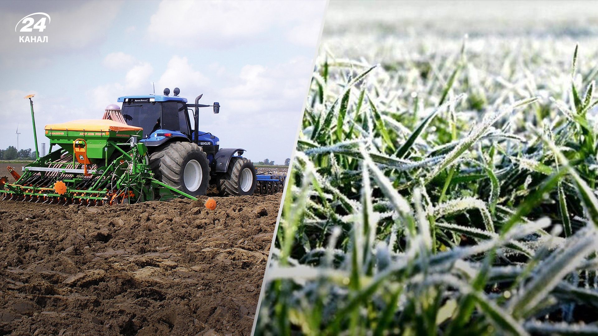 Українські аграрії сіють озимину високими темпами Українські аграрії сіють озимину високими темпами