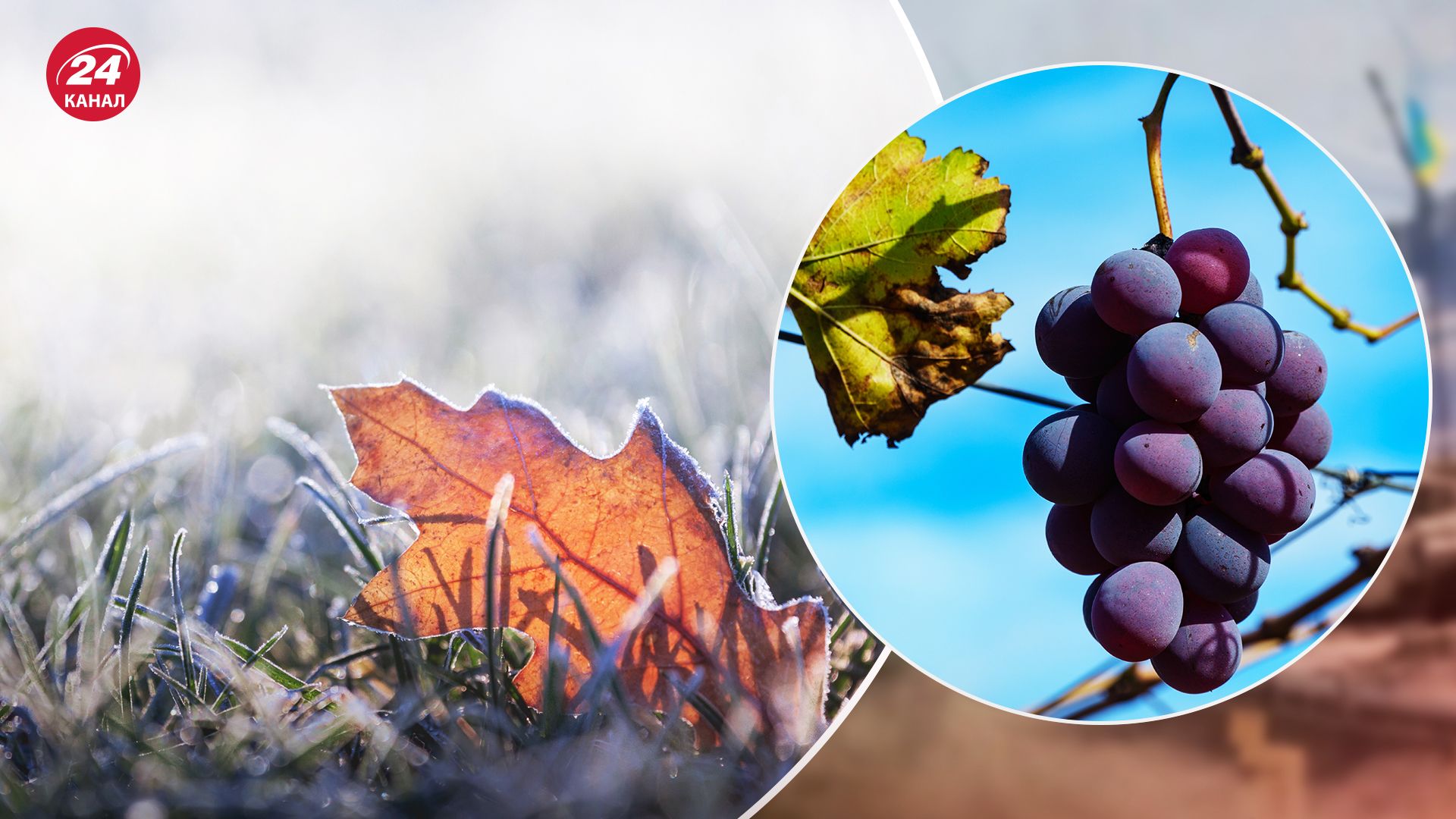 Точный прогноз погоды на 2 октября 2024 - где будут заморозки - 24 Канал Точный прогноз погоды на 2 октября 2024 - где будут заморозки - 24 Канал