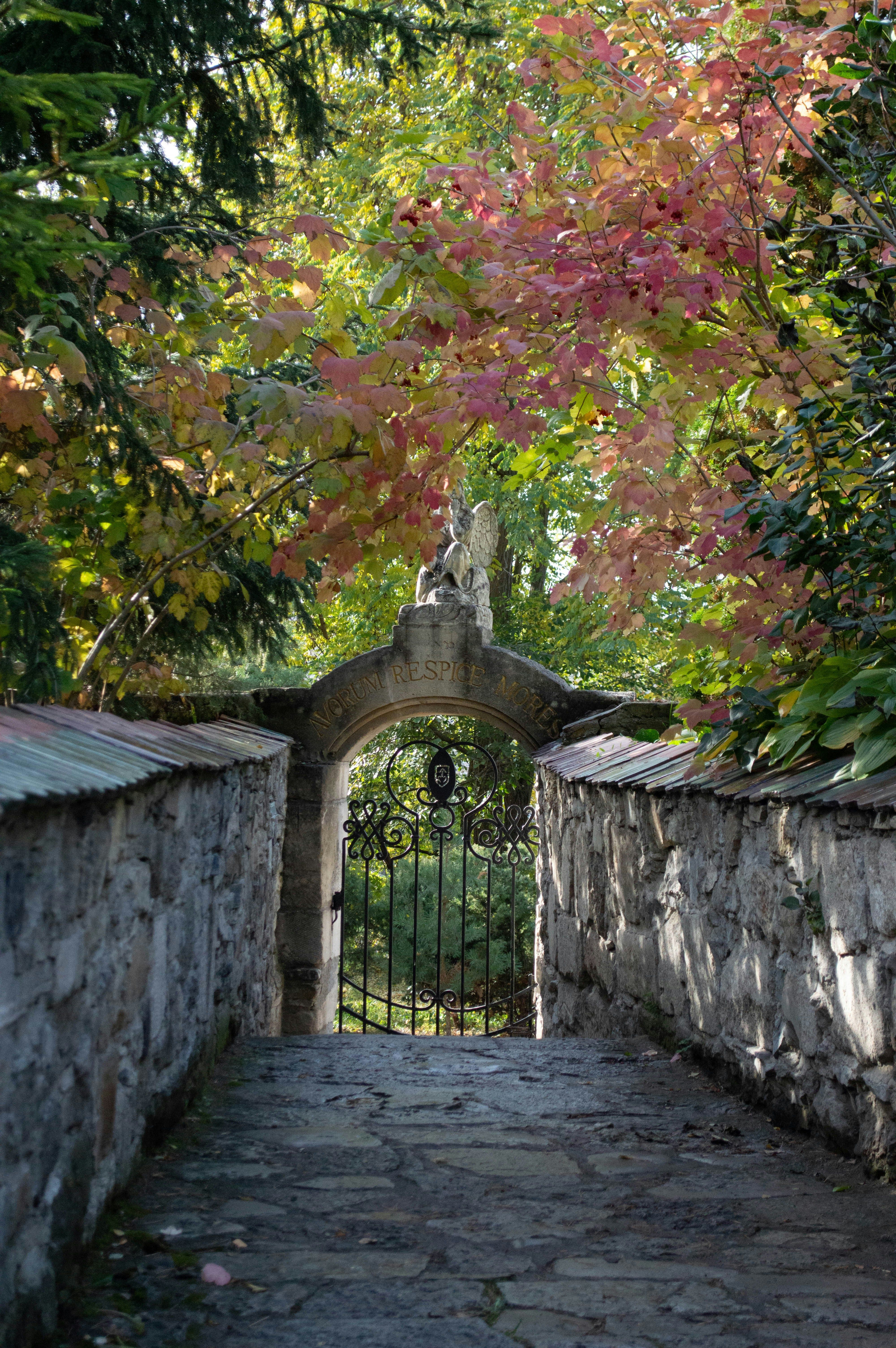 Де погуляти у Чернівцях на вихідних - добірка небанальних місць Де погуляти у Чернівцях на вихідних - добірка небанальних місць