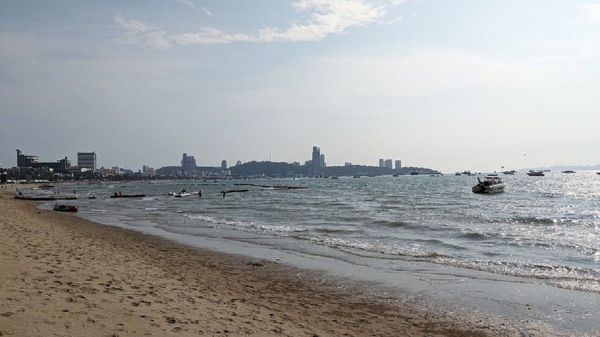 На популярном курорте в Таиланде появились ядовитые морские существа На популярном курорте в Таиланде появились ядовитые морские существа