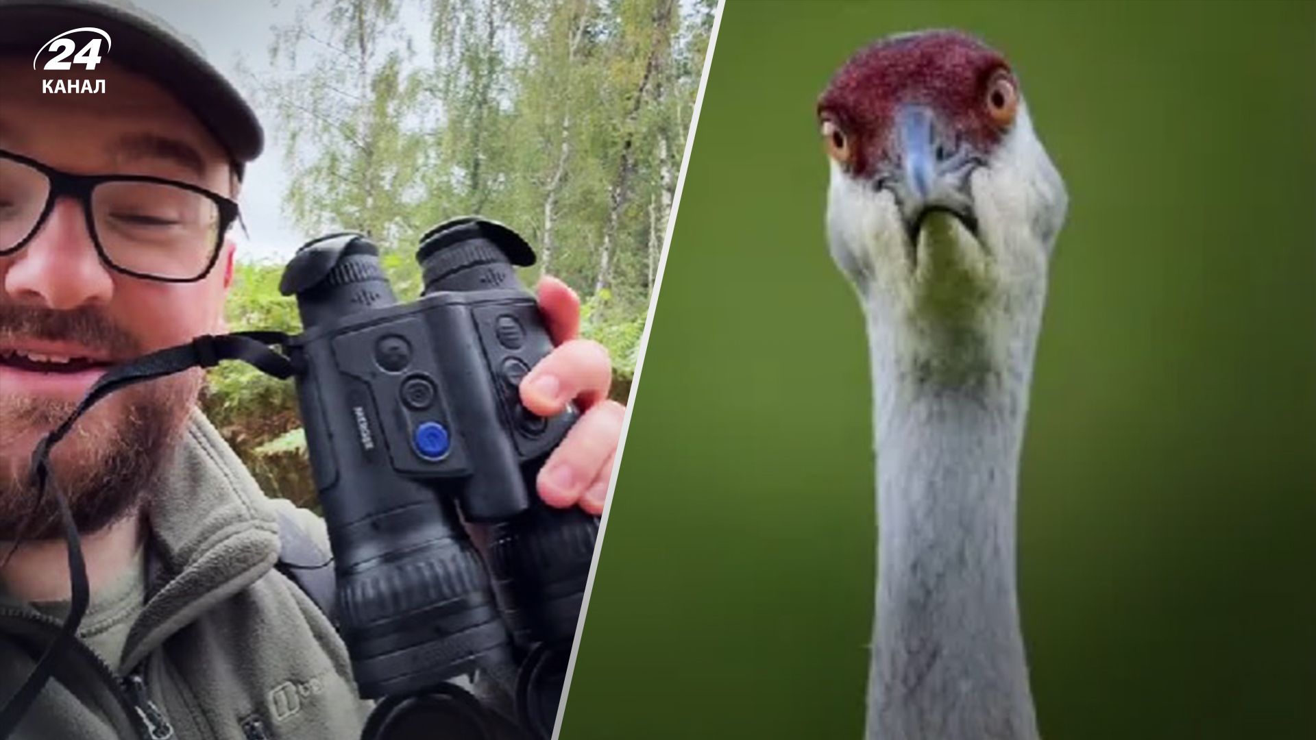 Чоловік знайшов та розлютив рідкісного птаха Британії - відео Чоловік знайшов та розлютив рідкісного птаха Британії - відео