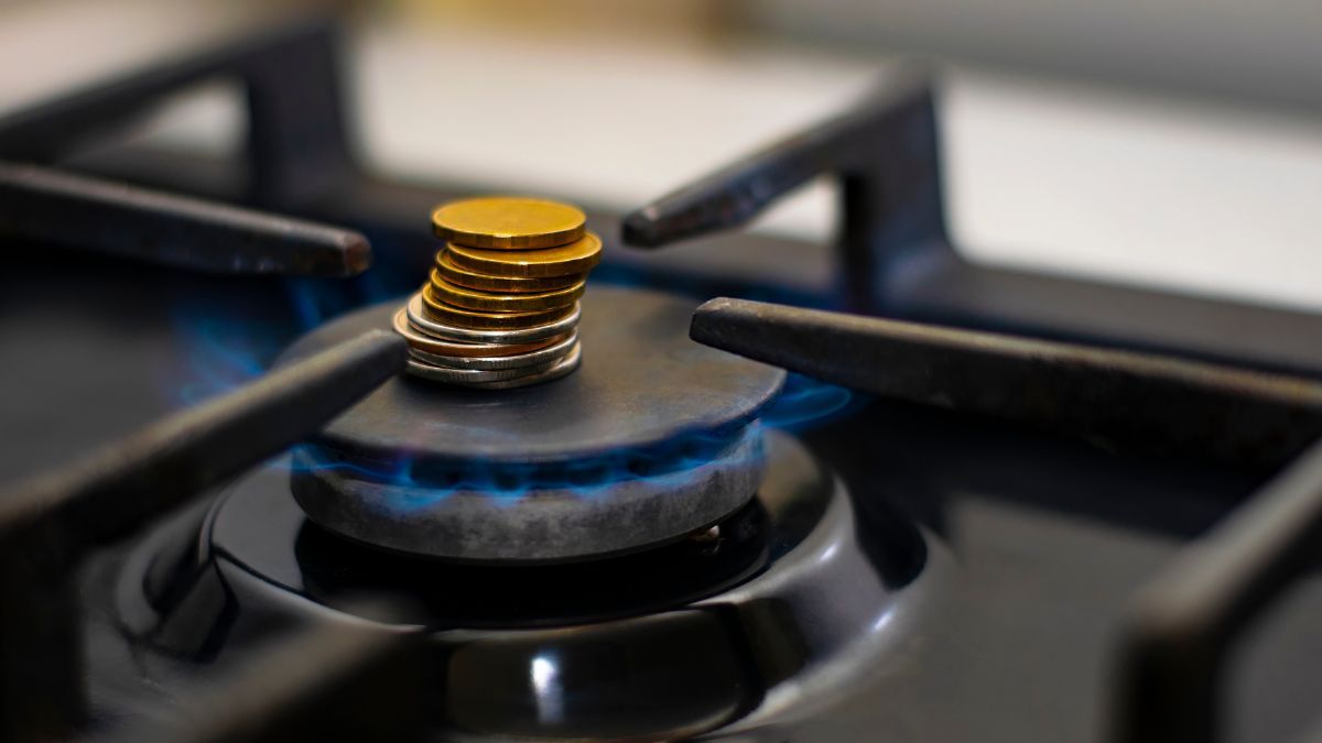 За что могут отменить субсидию За что могут отменить субсидию