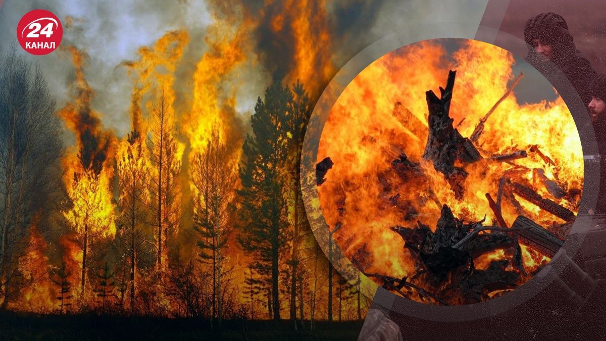 Лесные пожары на оккупированных территориях происходят чаще – почему ...