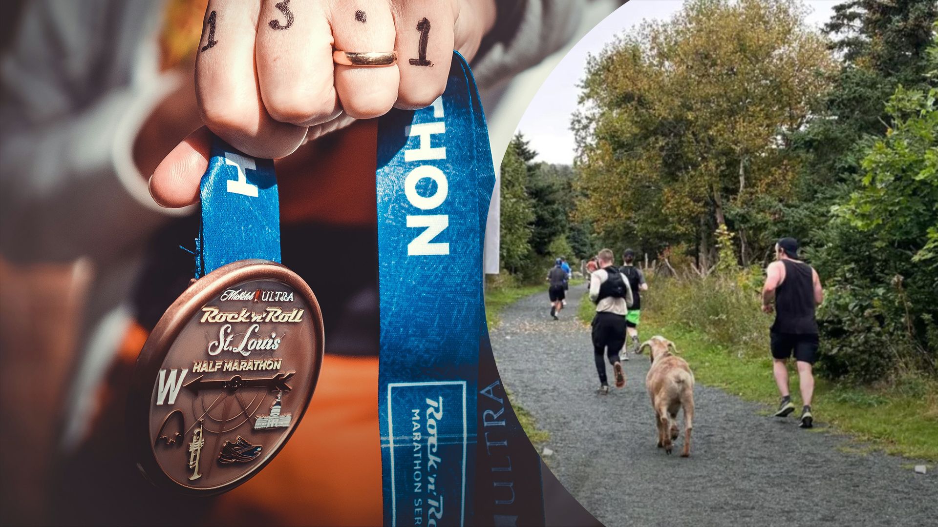 Козел победил в марафоне и получил медаль - фото Козел победил в марафоне и получил медаль - фото