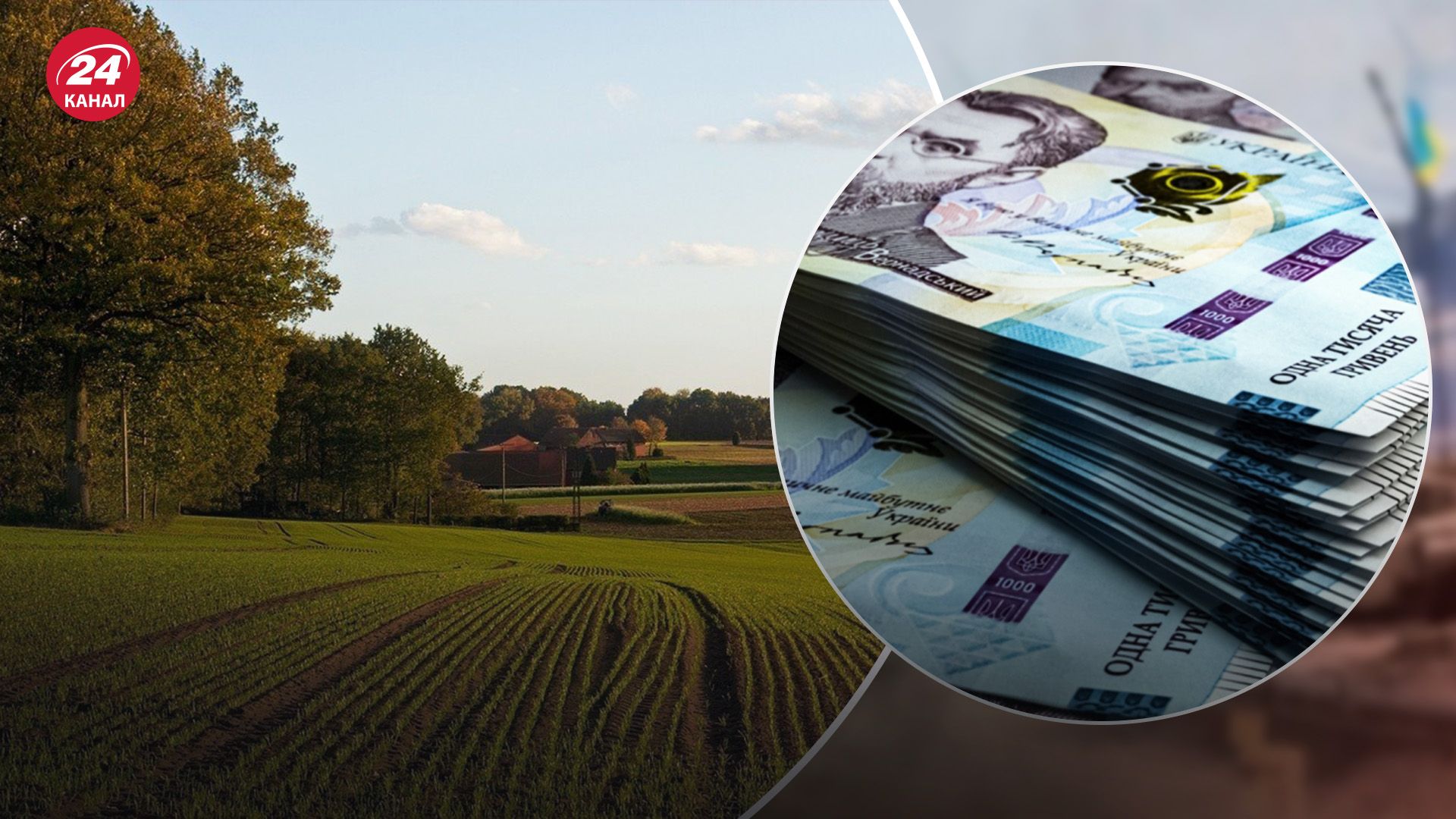 Скільки коштує гектар землі Скільки коштує гектар землі