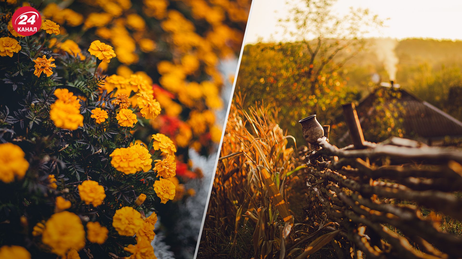 Осінь в Україні Осінь в Україні