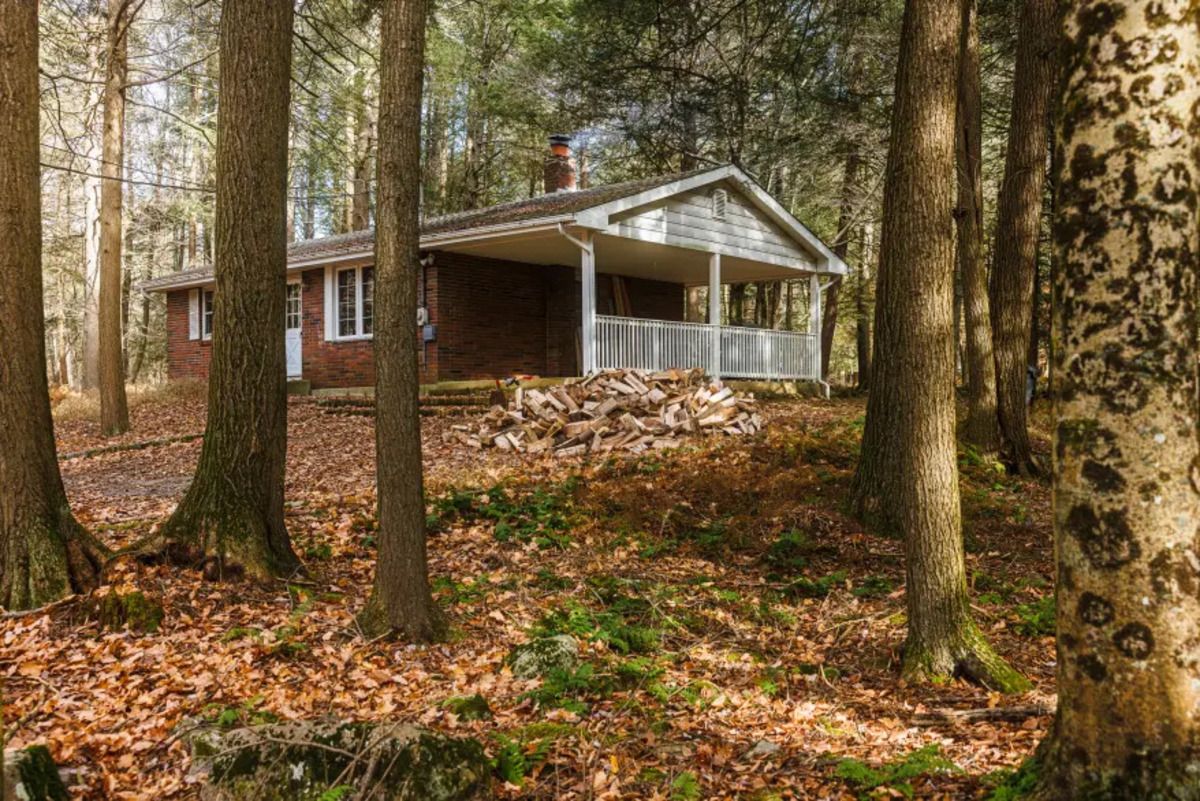 Волшебный дом в лесу - почему супруги очень пожалели о переезде - Недвижимость Волшебный дом в лесу - почему супруги очень пожалели о переезде - Недвижимость