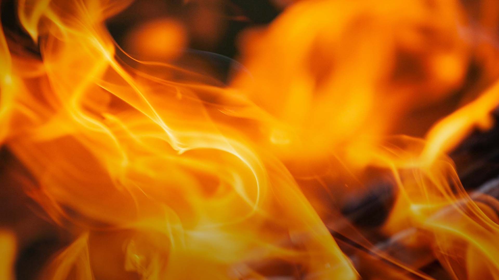 В Луганской области сгорел поселок Устиновка В Луганской области сгорел поселок Устиновка