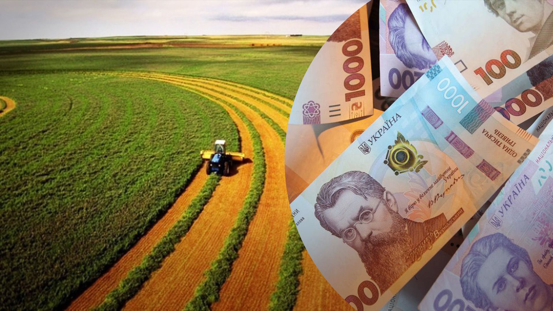 Яка ціна 1 гектара землі на Київщині Яка ціна 1 гектара землі на Київщині