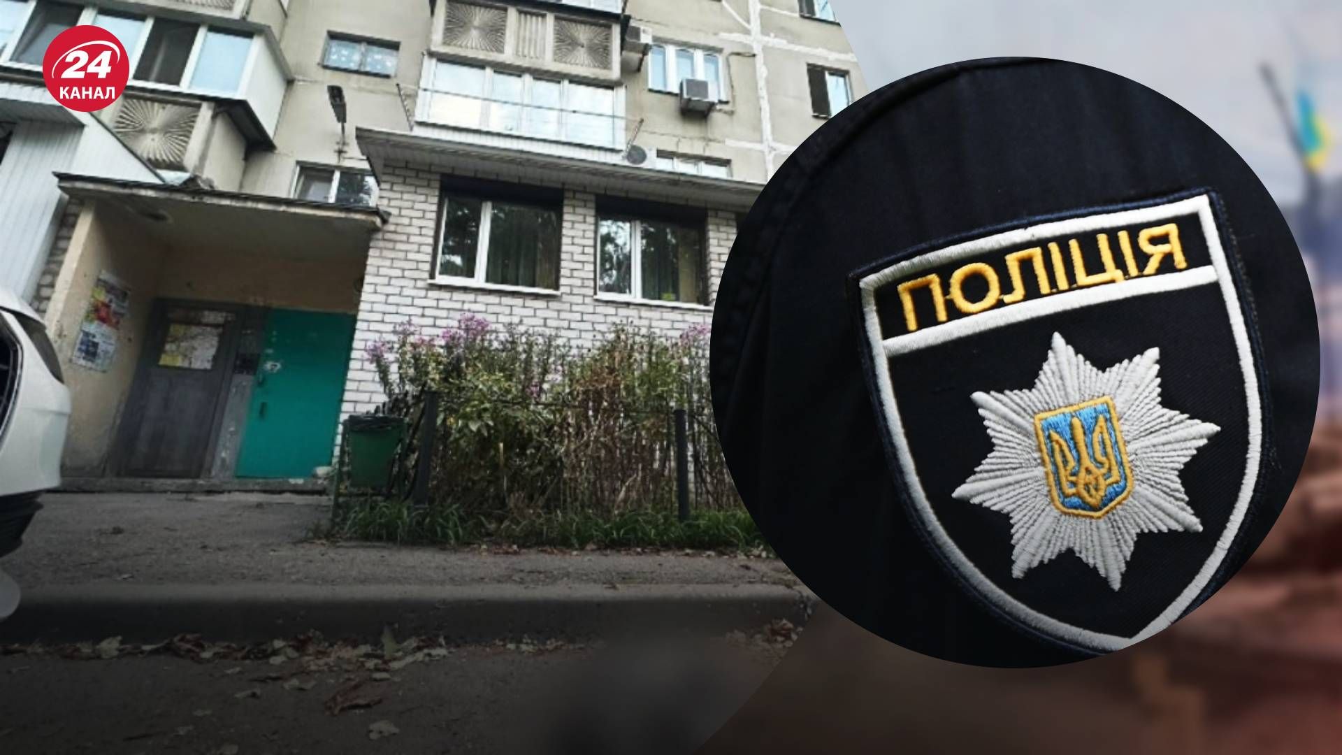 В Кременчуге мужчина безжалостно стрелял по котам из винтовки: одно из животных погибло - 24 Канал В Кременчуге мужчина безжалостно стрелял по котам из винтовки: одно из животных погибло - 24 Канал