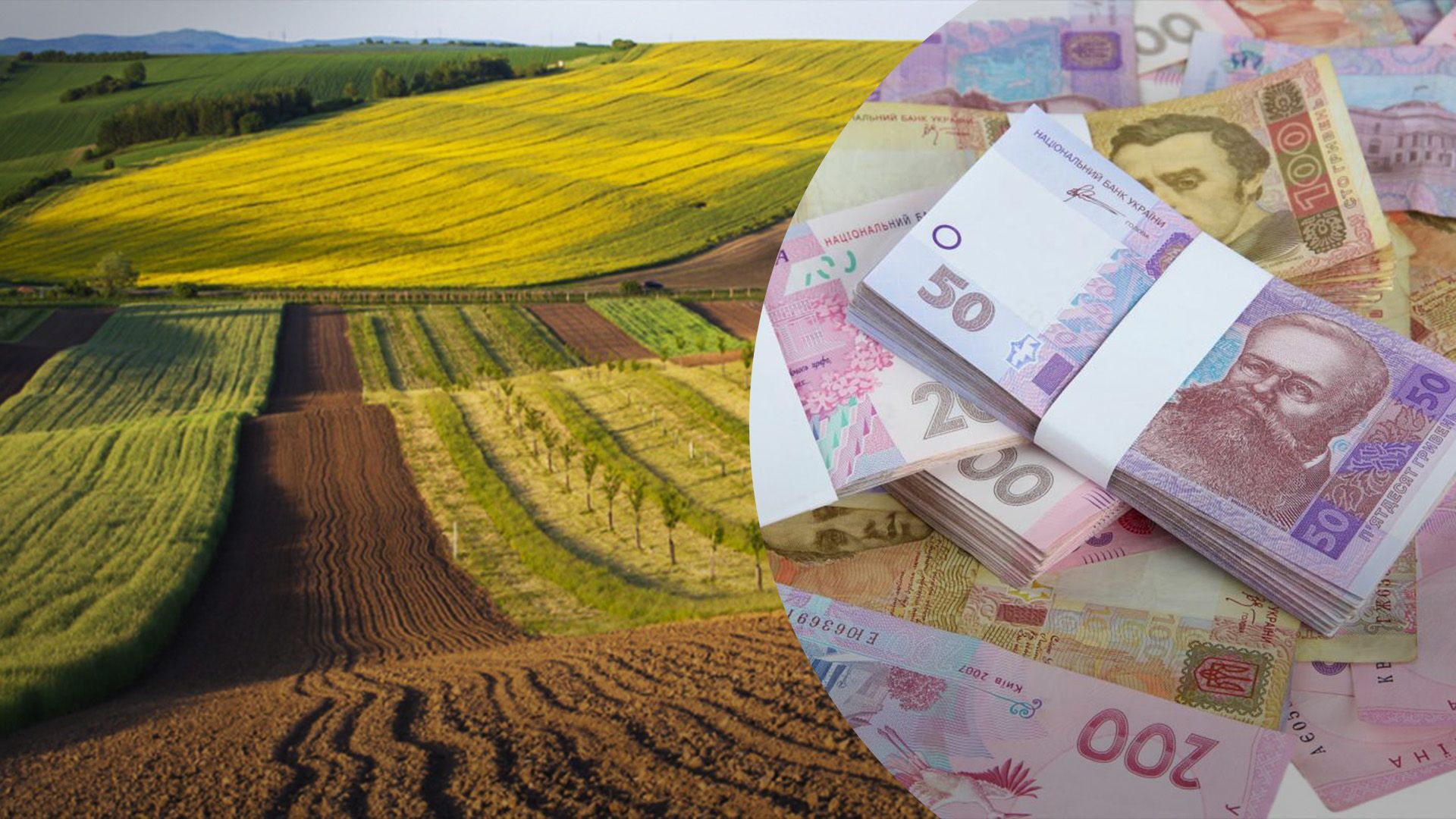 Скільки коштує пай у жовтні Скільки коштує пай у жовтні