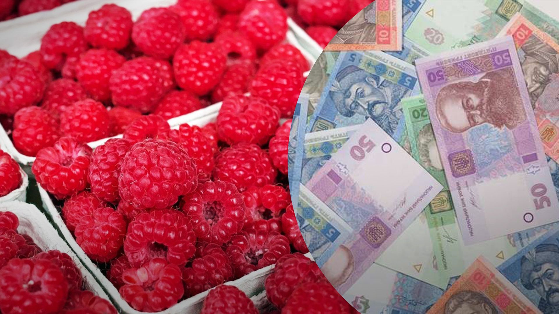 Малина бьет ценовые рекорды Малина бьет ценовые рекорды